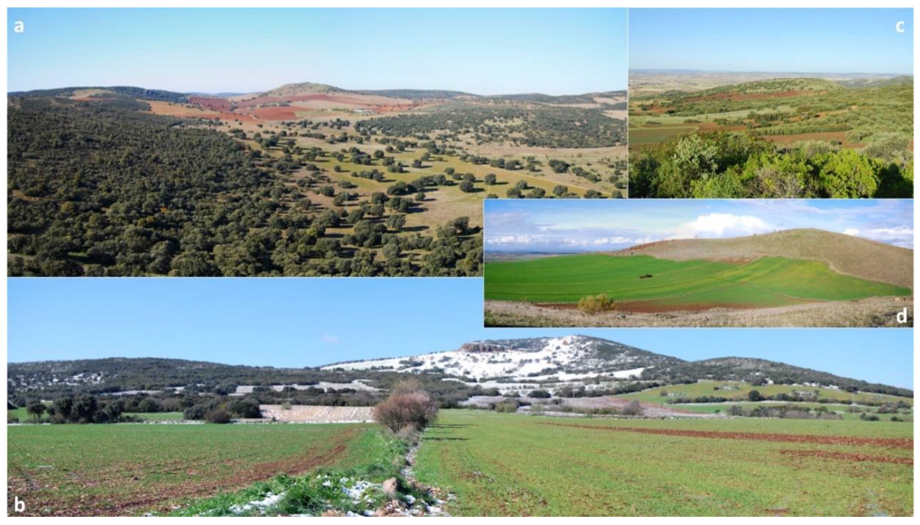 Geosciences 10 00441 g010