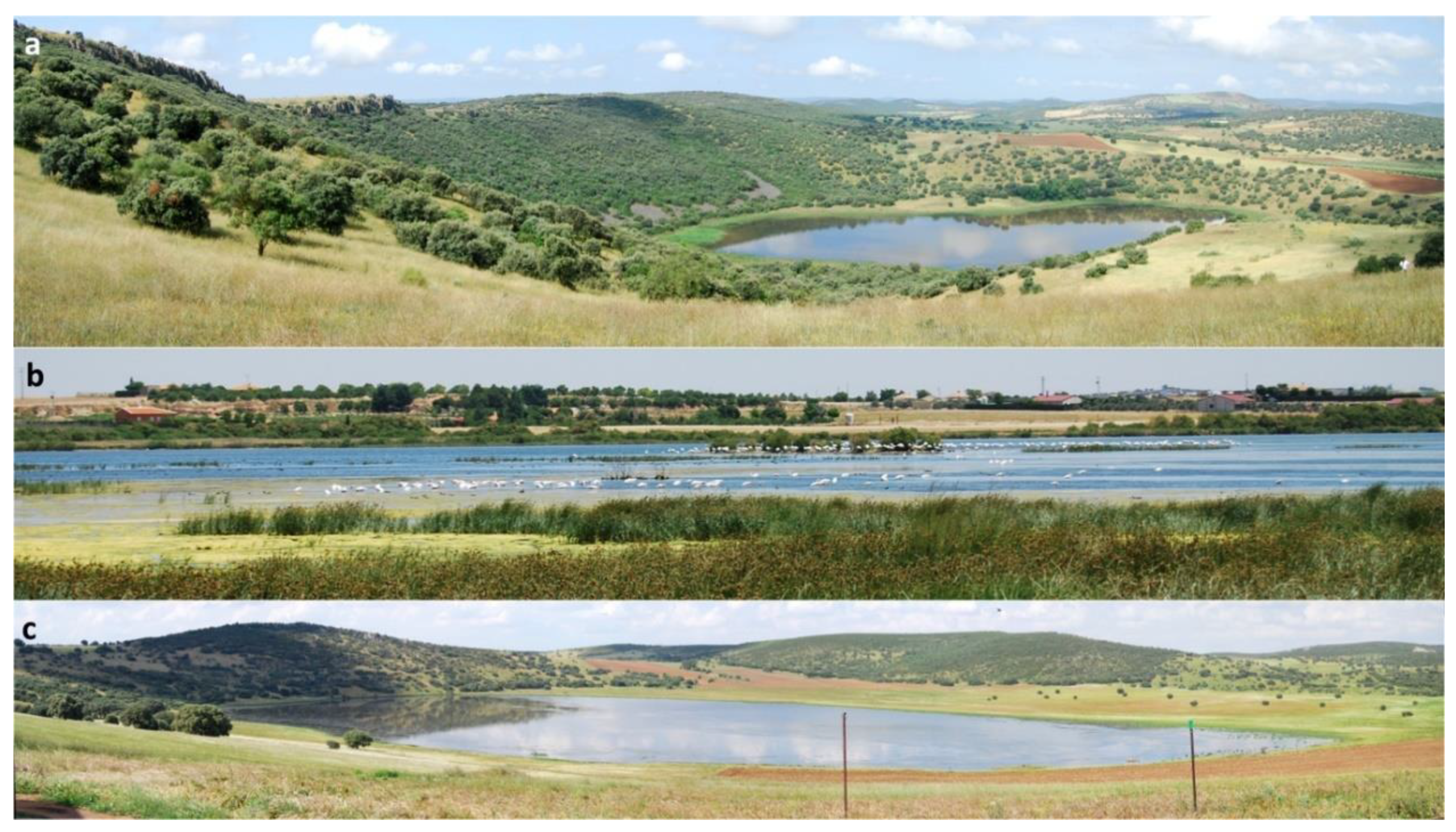 Geosciences 10 00441 g014