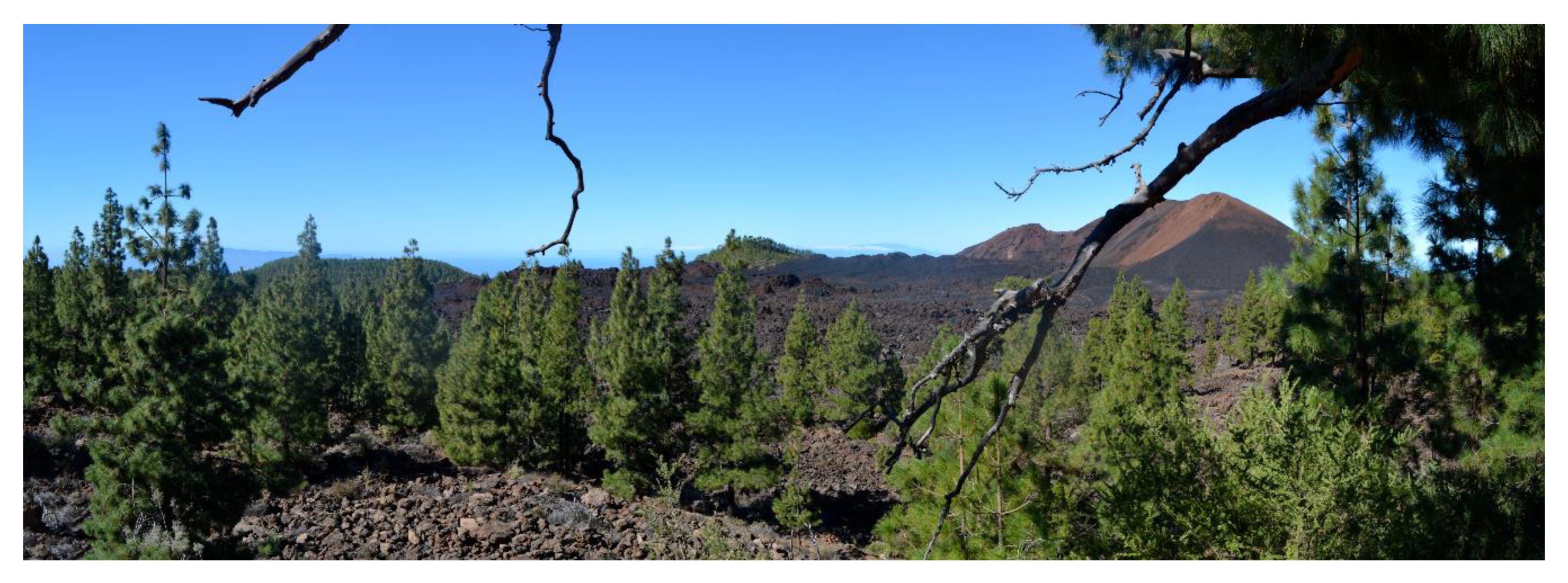 Geosciences 10 00453 g008