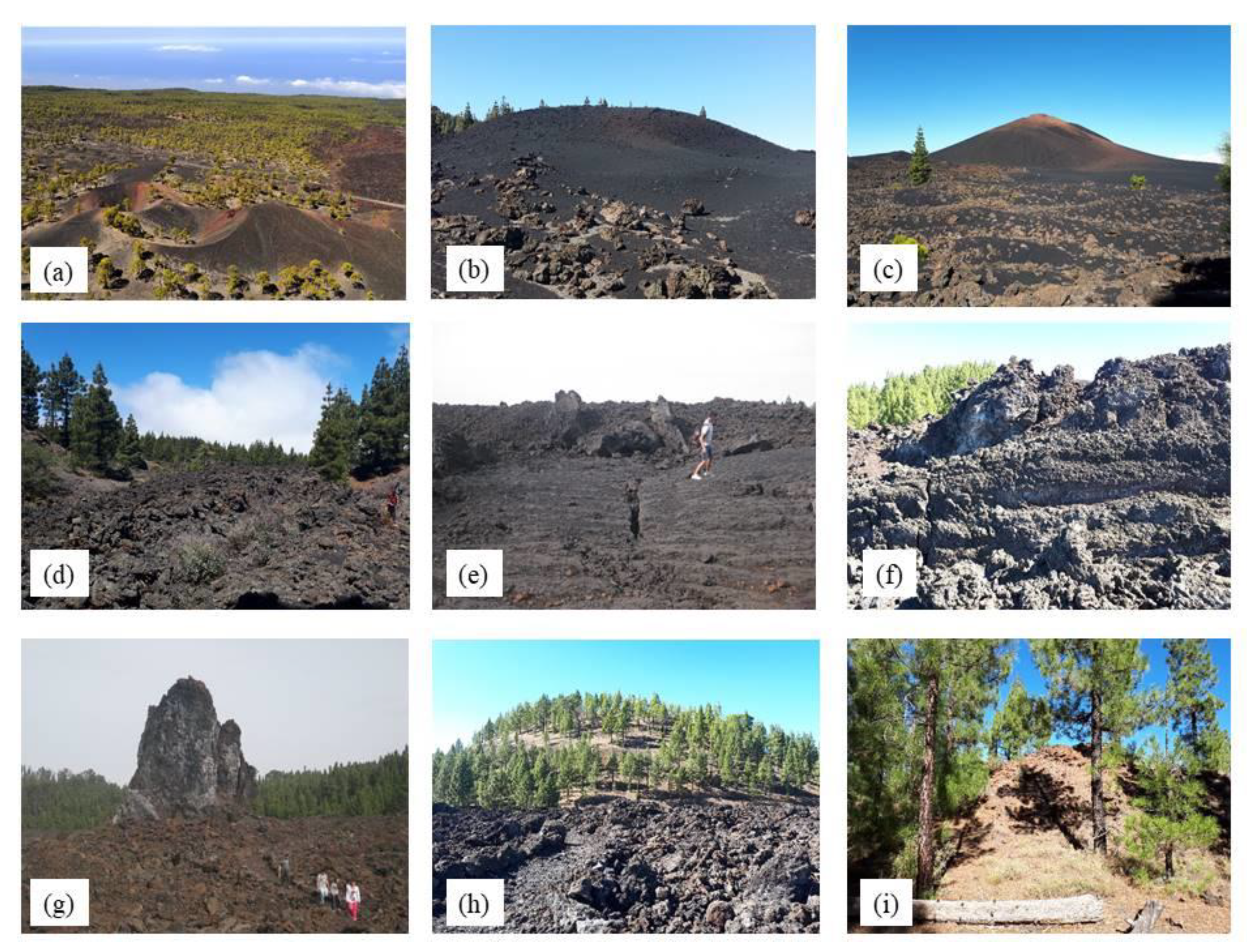 Geosciences 10 00453 g009