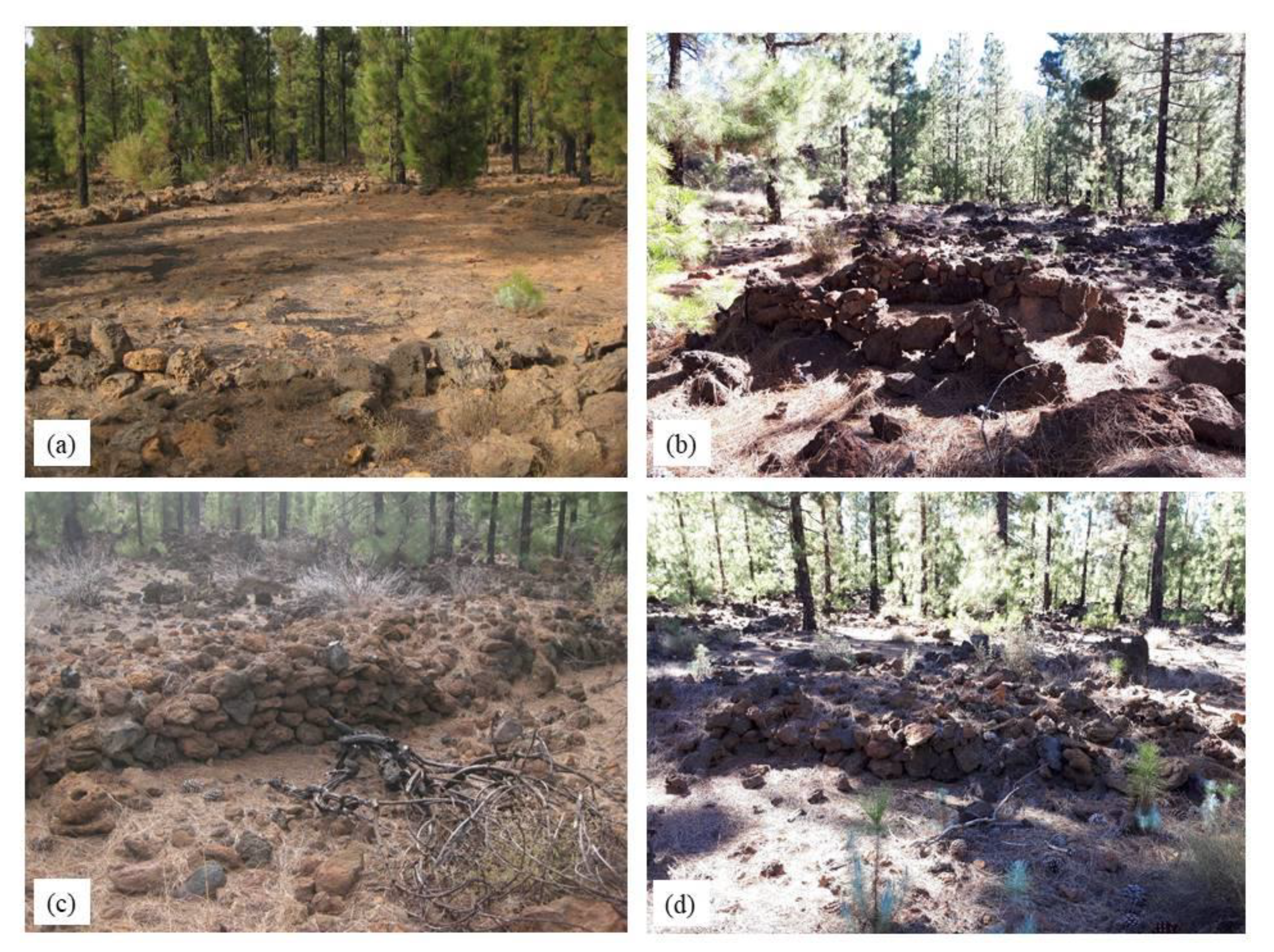 Geosciences 10 00453 g012