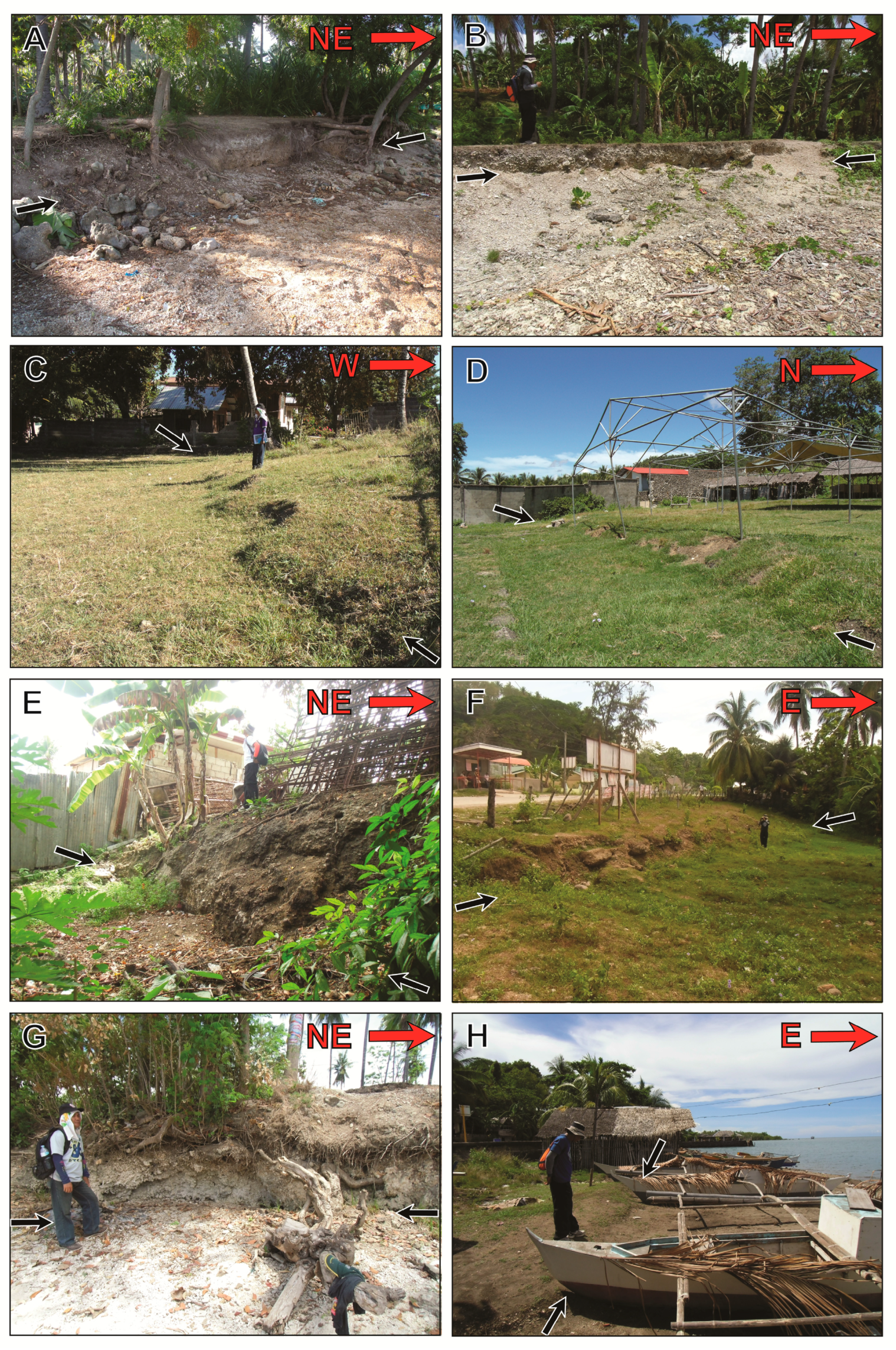 Geosciences 10 00460 g006