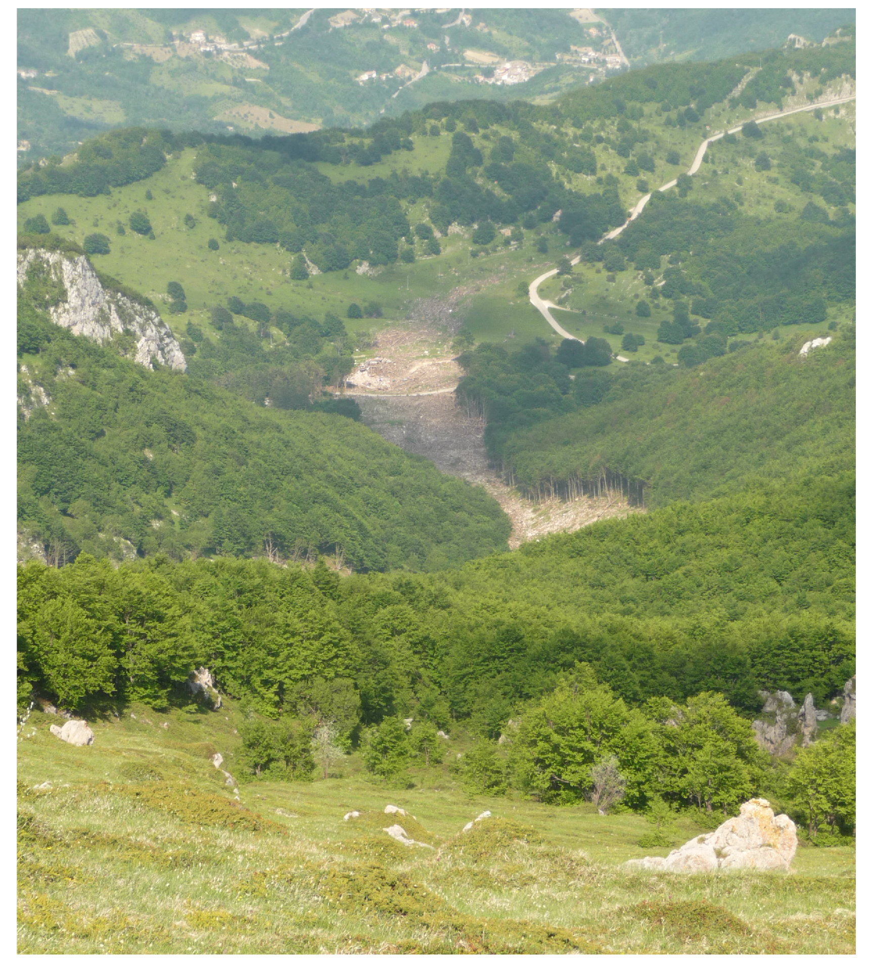 Geosciences 10 00466 g002