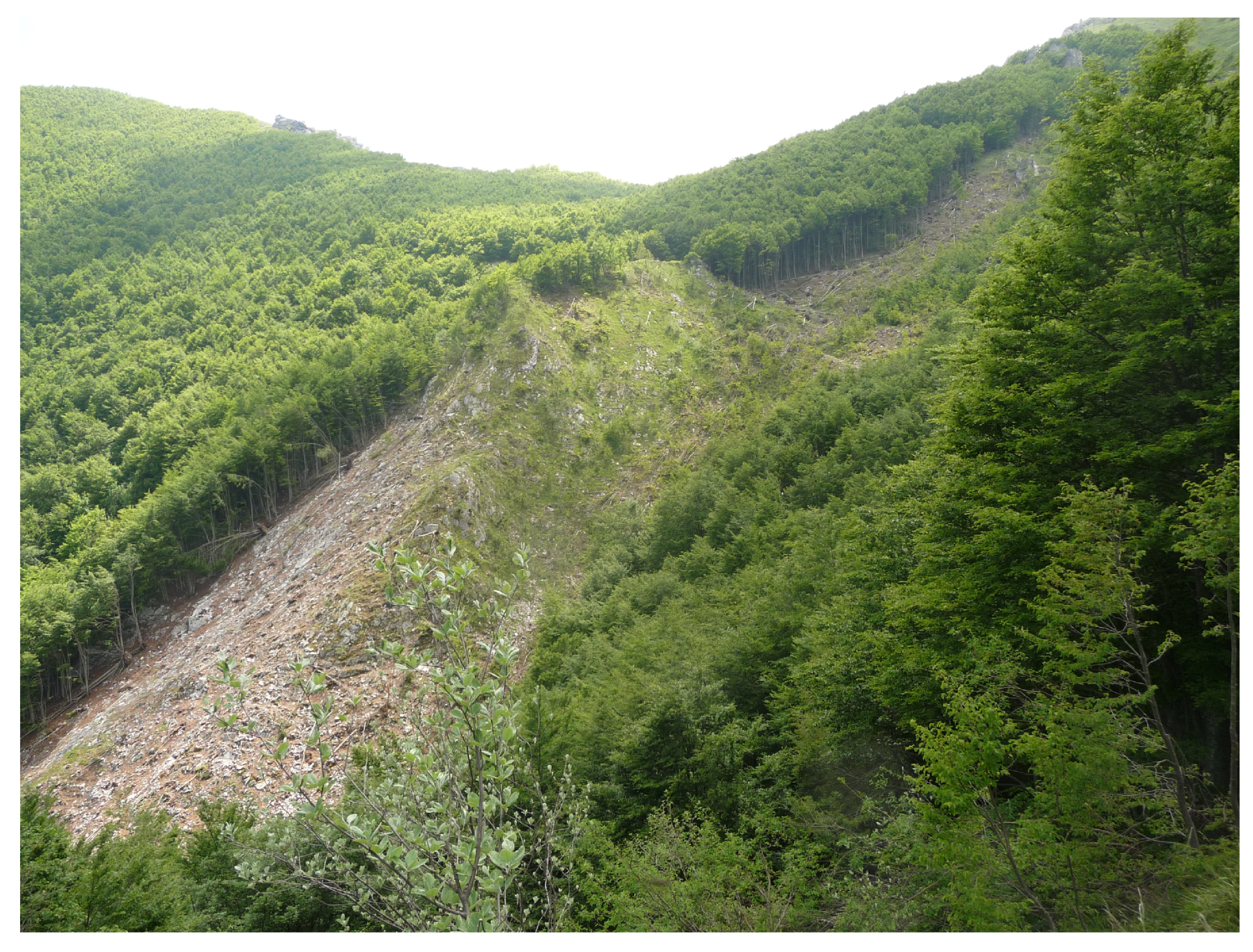 Geosciences 10 00466 g004