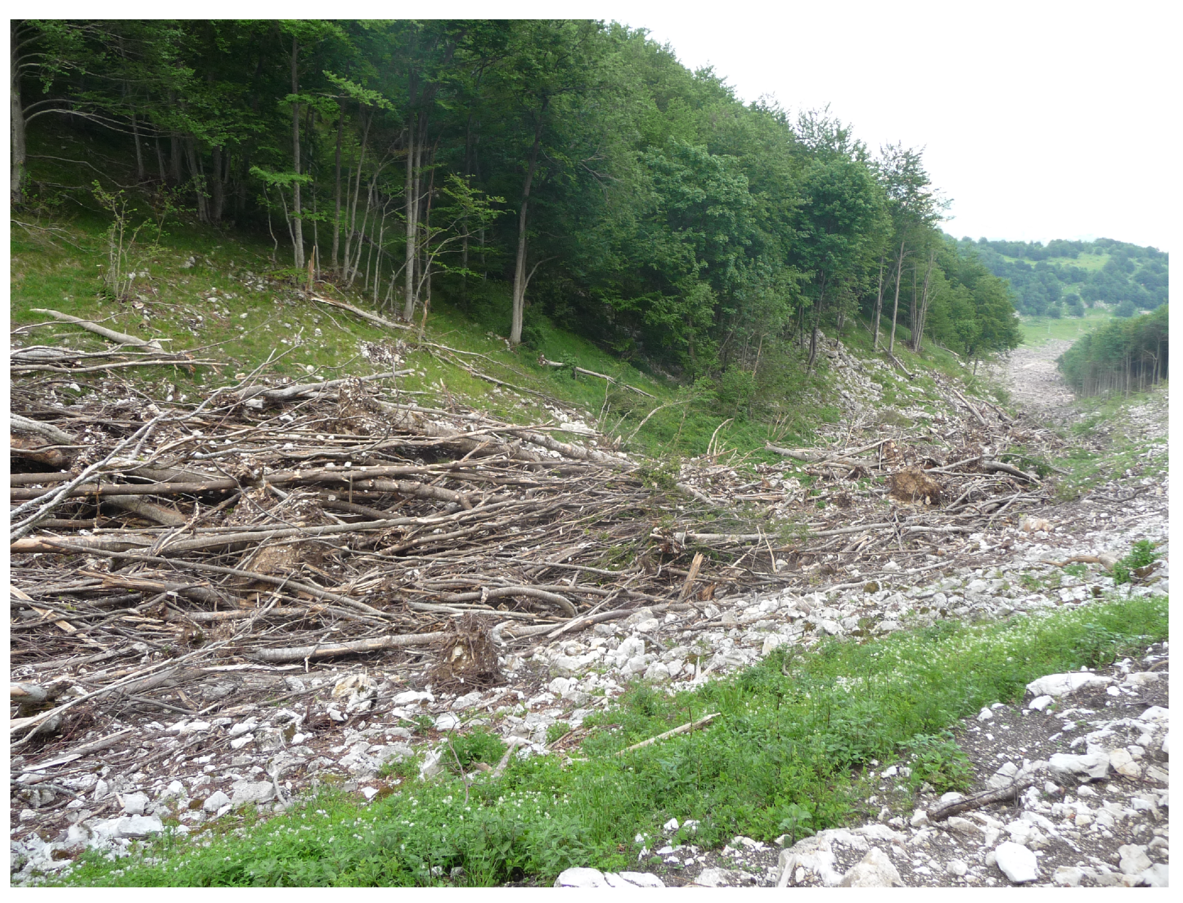 Geosciences 10 00466 g006