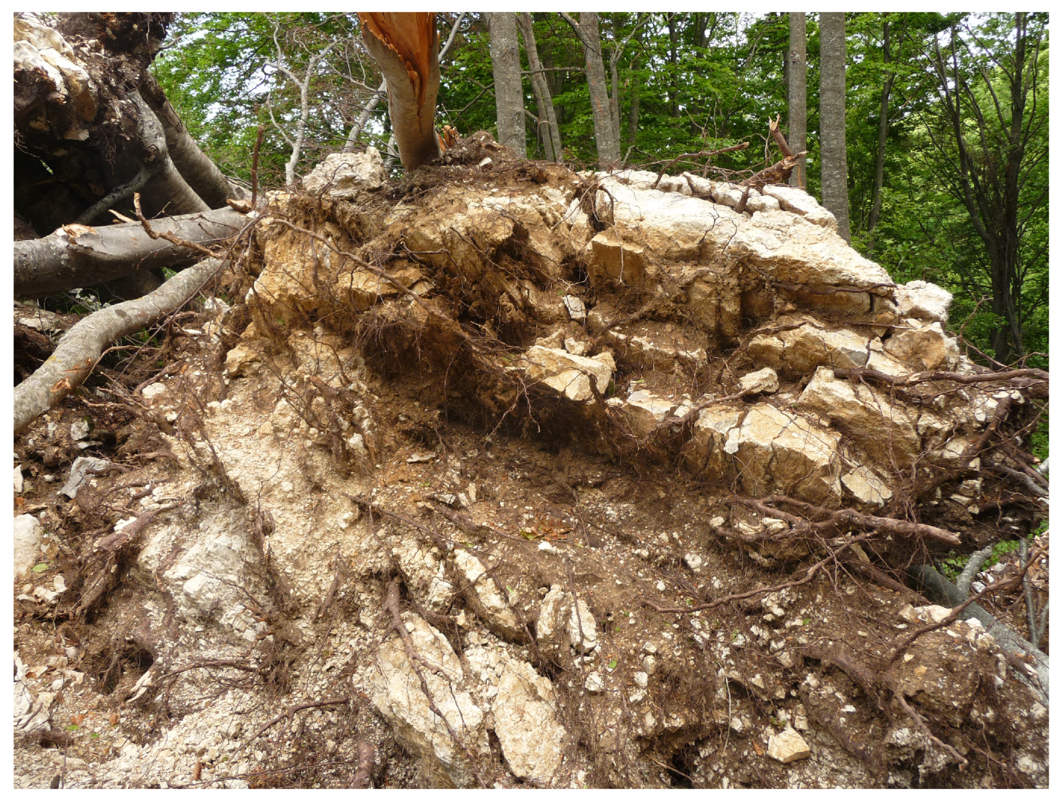 Geosciences 10 00466 g008