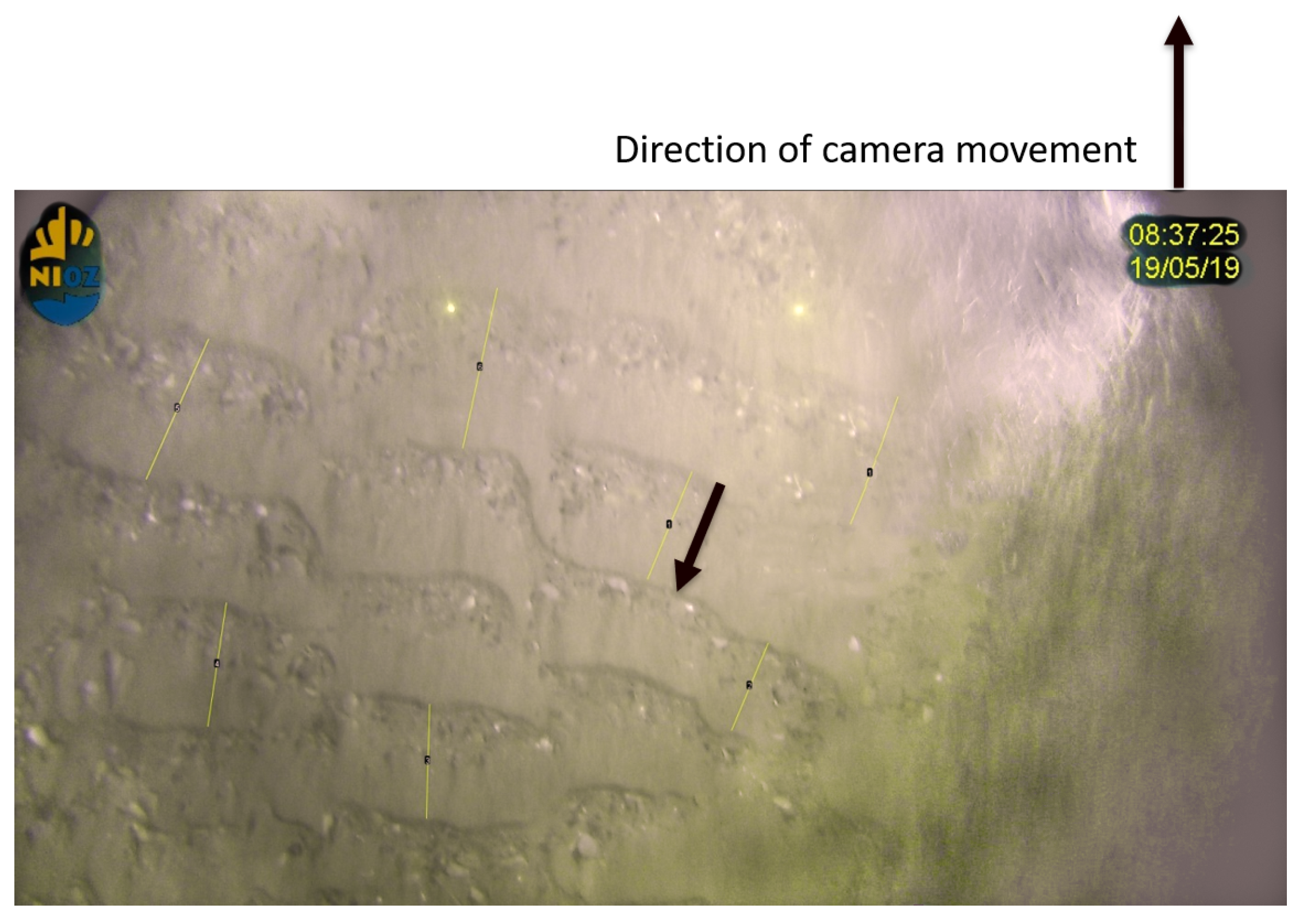 Geosciences 10 00495 g010