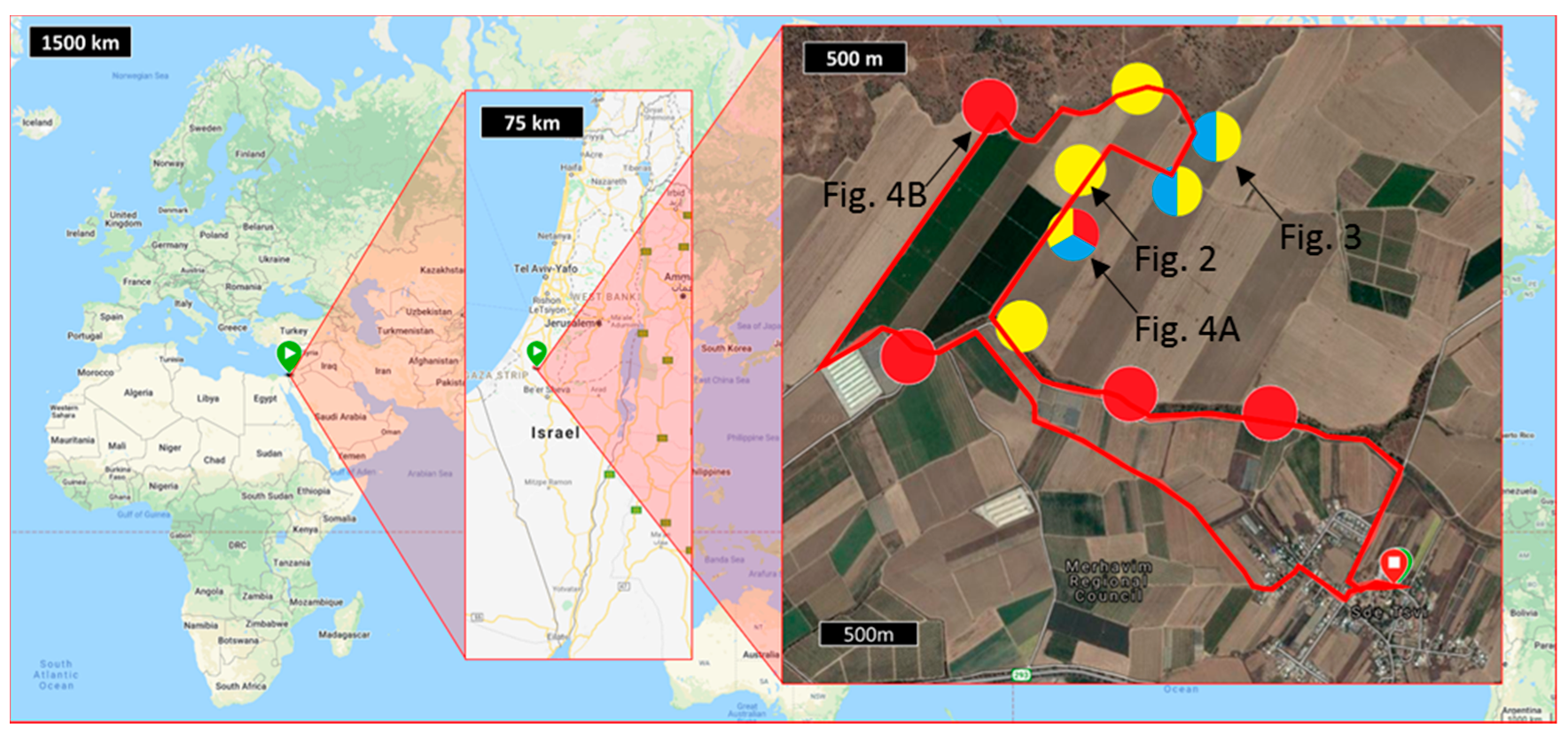 Geosciences 11 00002 g001