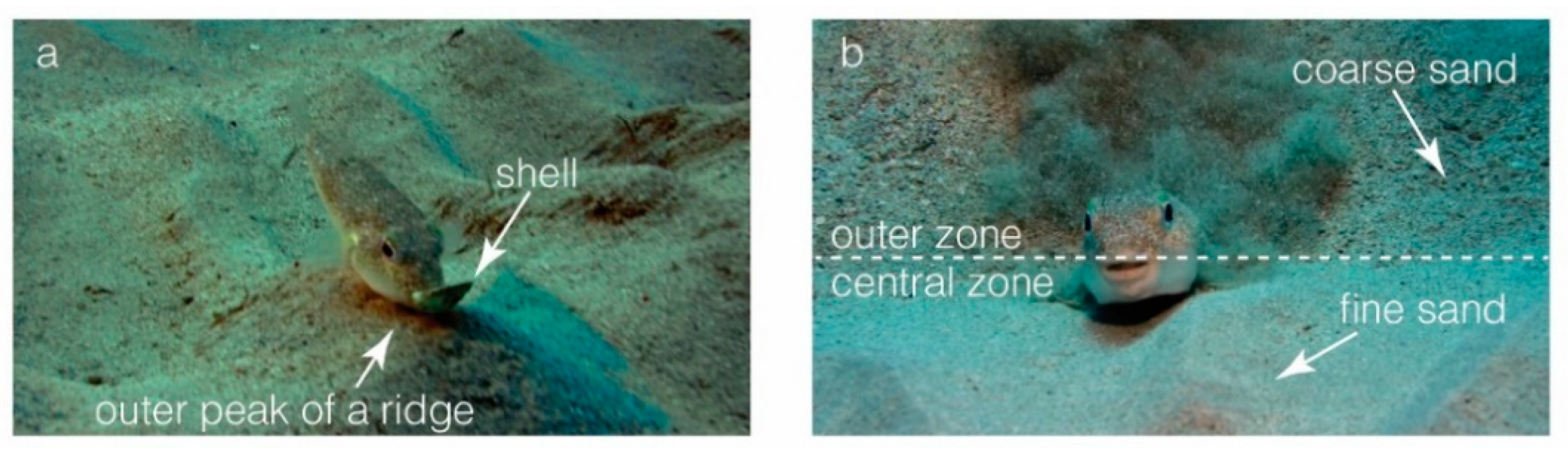 Geosciences 11 00022 g016