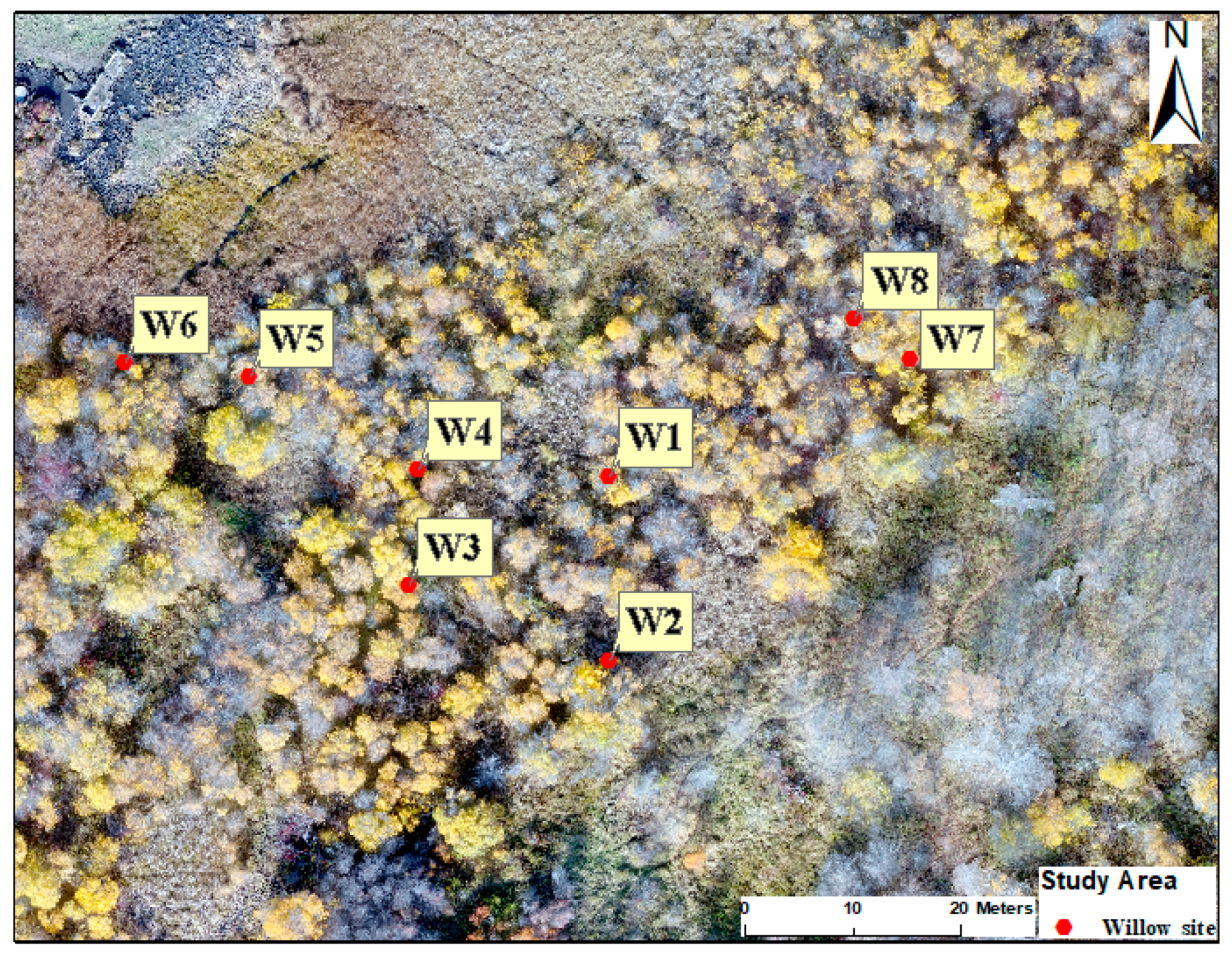 Geosciences 11 00029 g002