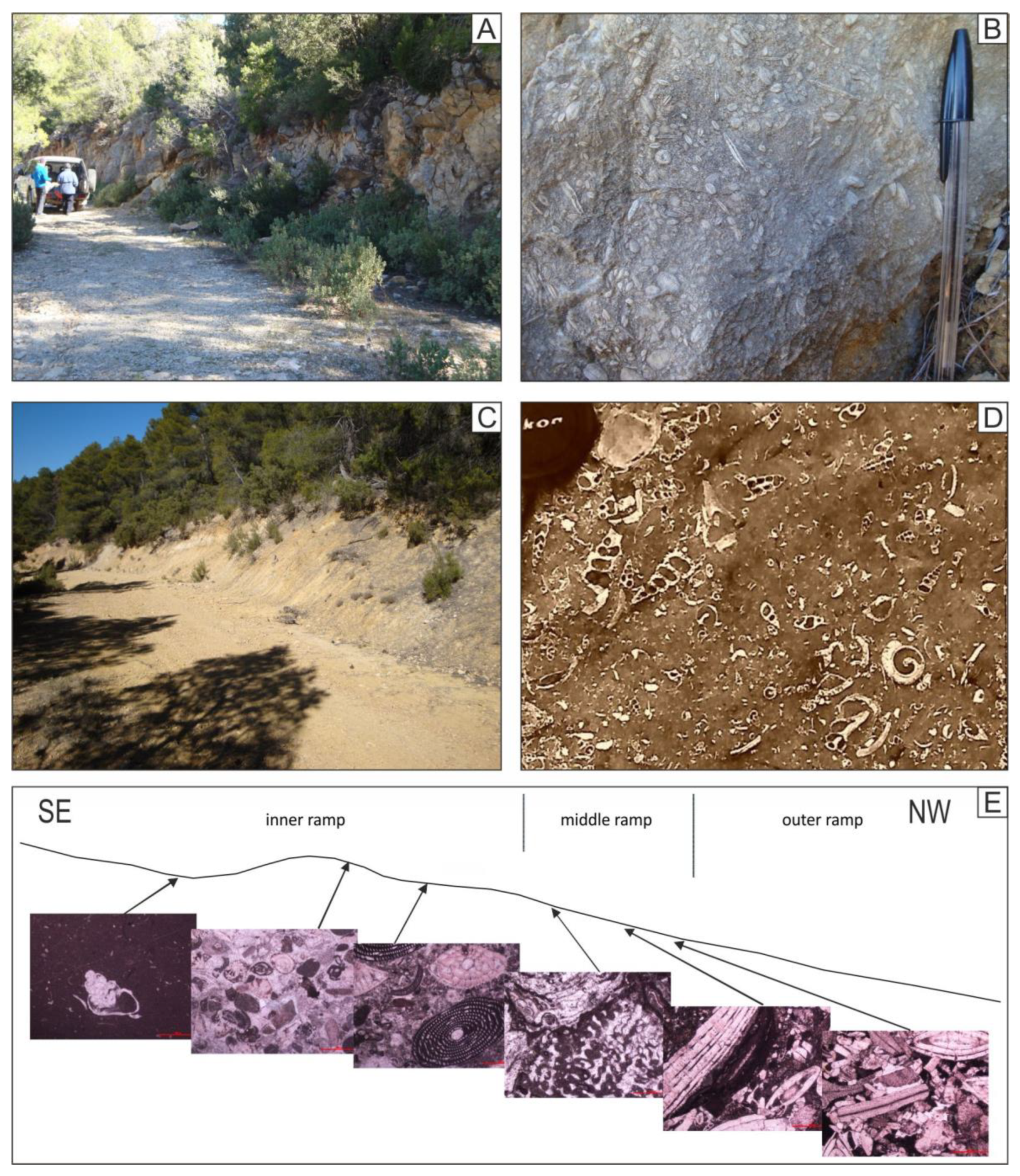 Geosciences 11 00034 g007
