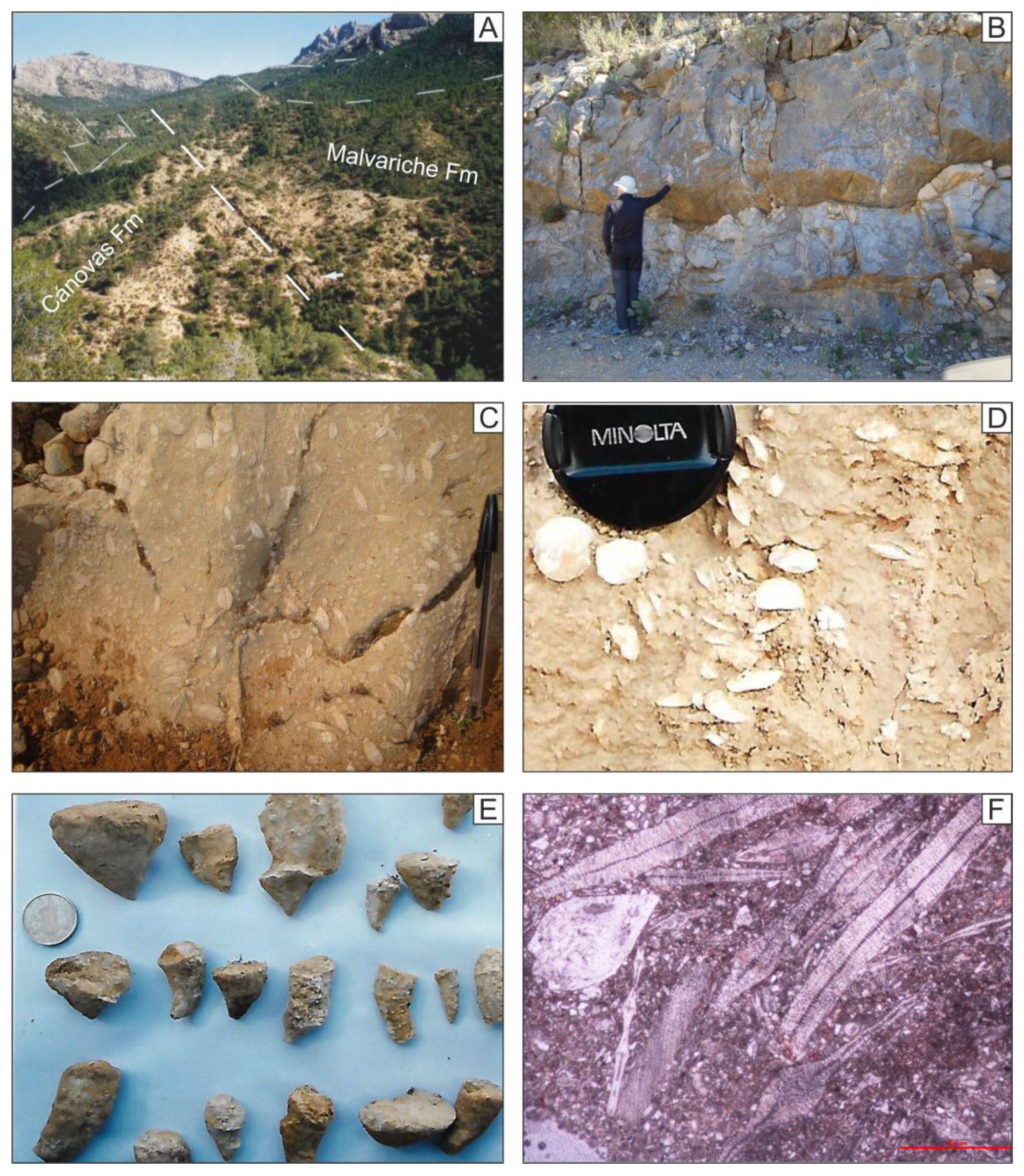 Geosciences 11 00034 g008