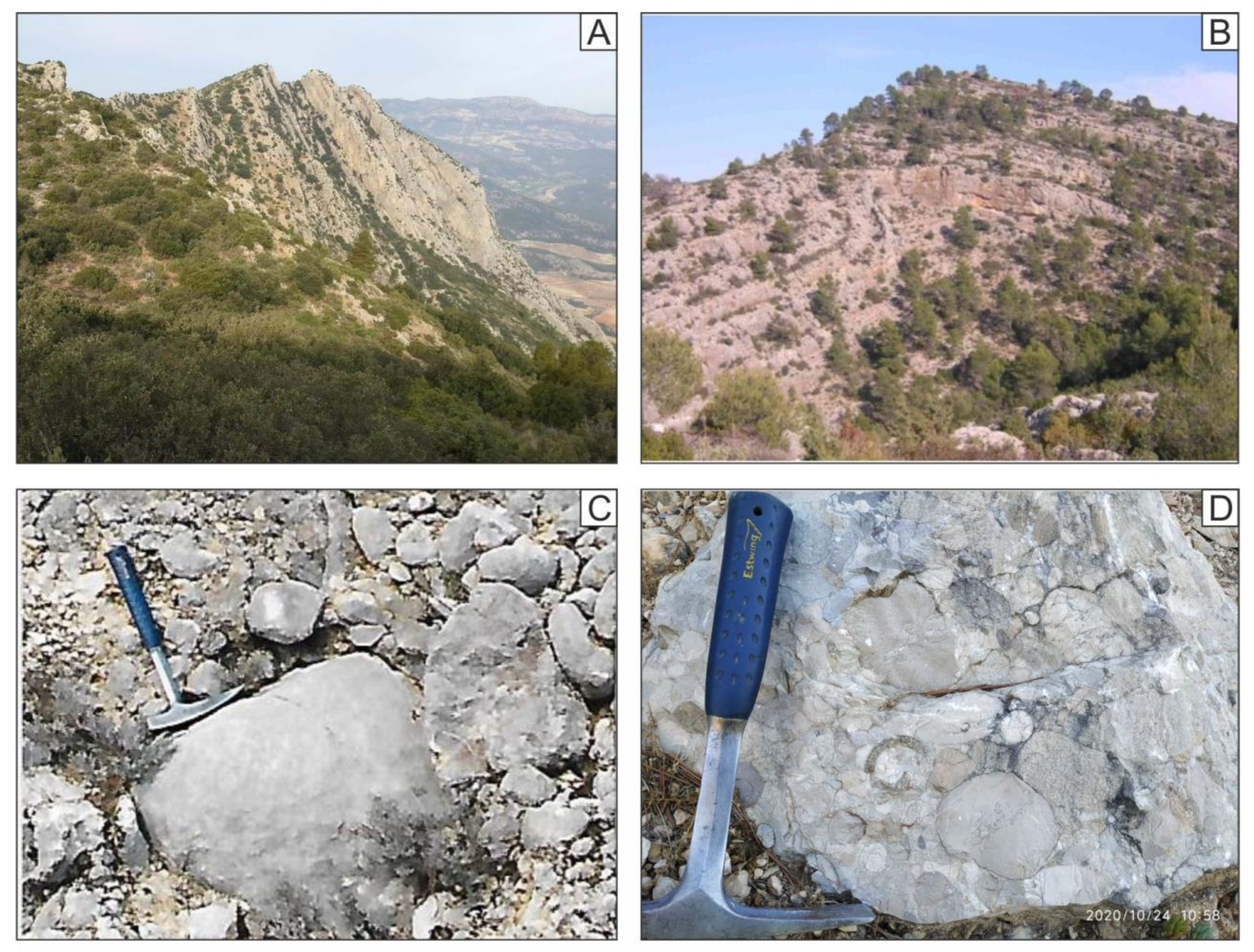 Geosciences 11 00034 g010
