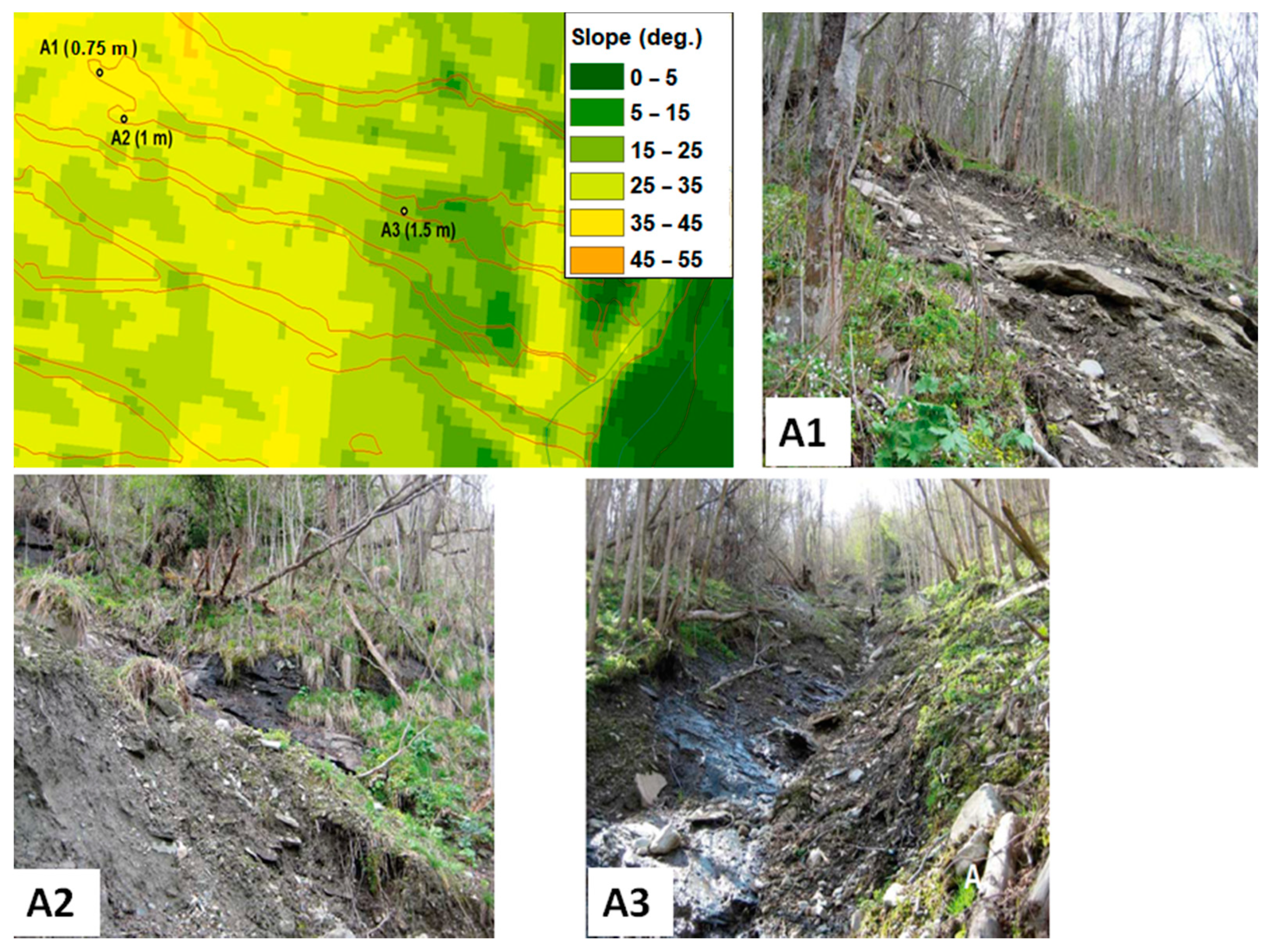 Geosciences 11 00035 g004