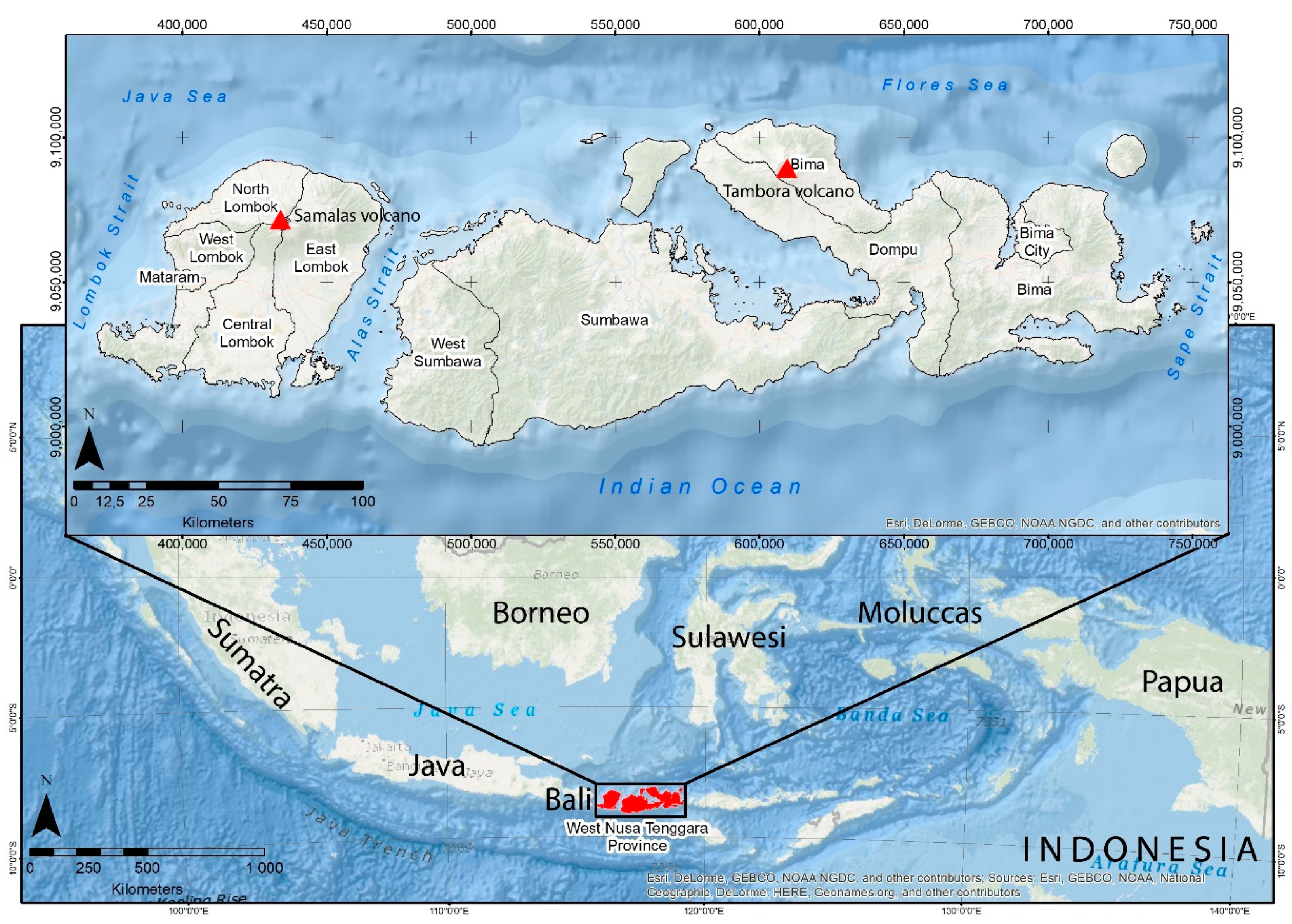 Mount Tambora, Location, Eruptions, Map, & Facts