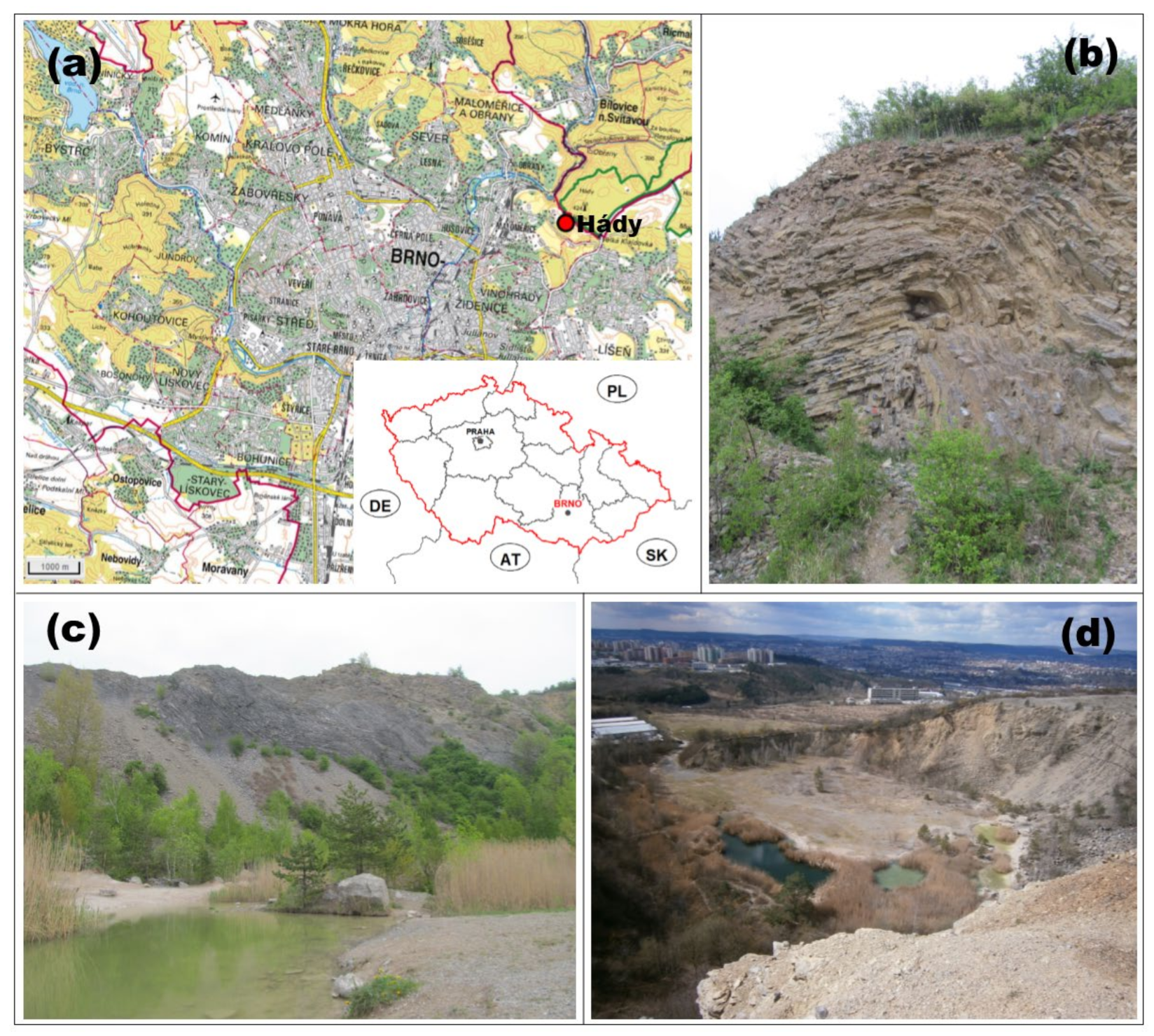 Geosciences 11 00054 g001