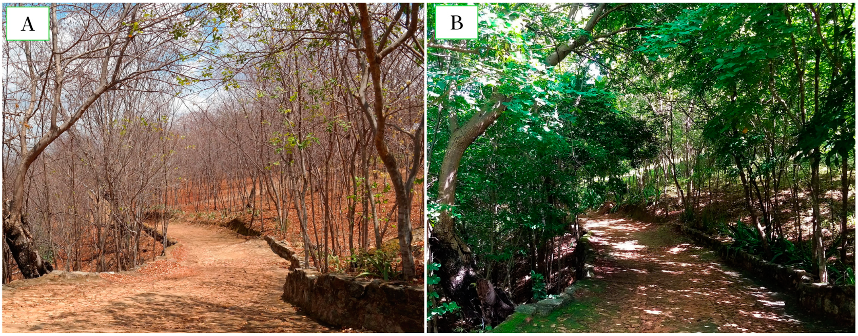 Geosciences | Free Full-Text | A Network Perspective of the Ecosystem's Health Provision Spectrum in the Trails of UNESCO Global Geoparks: Santo Sepulcro and Riacho do Meio Araripe UGG (NE