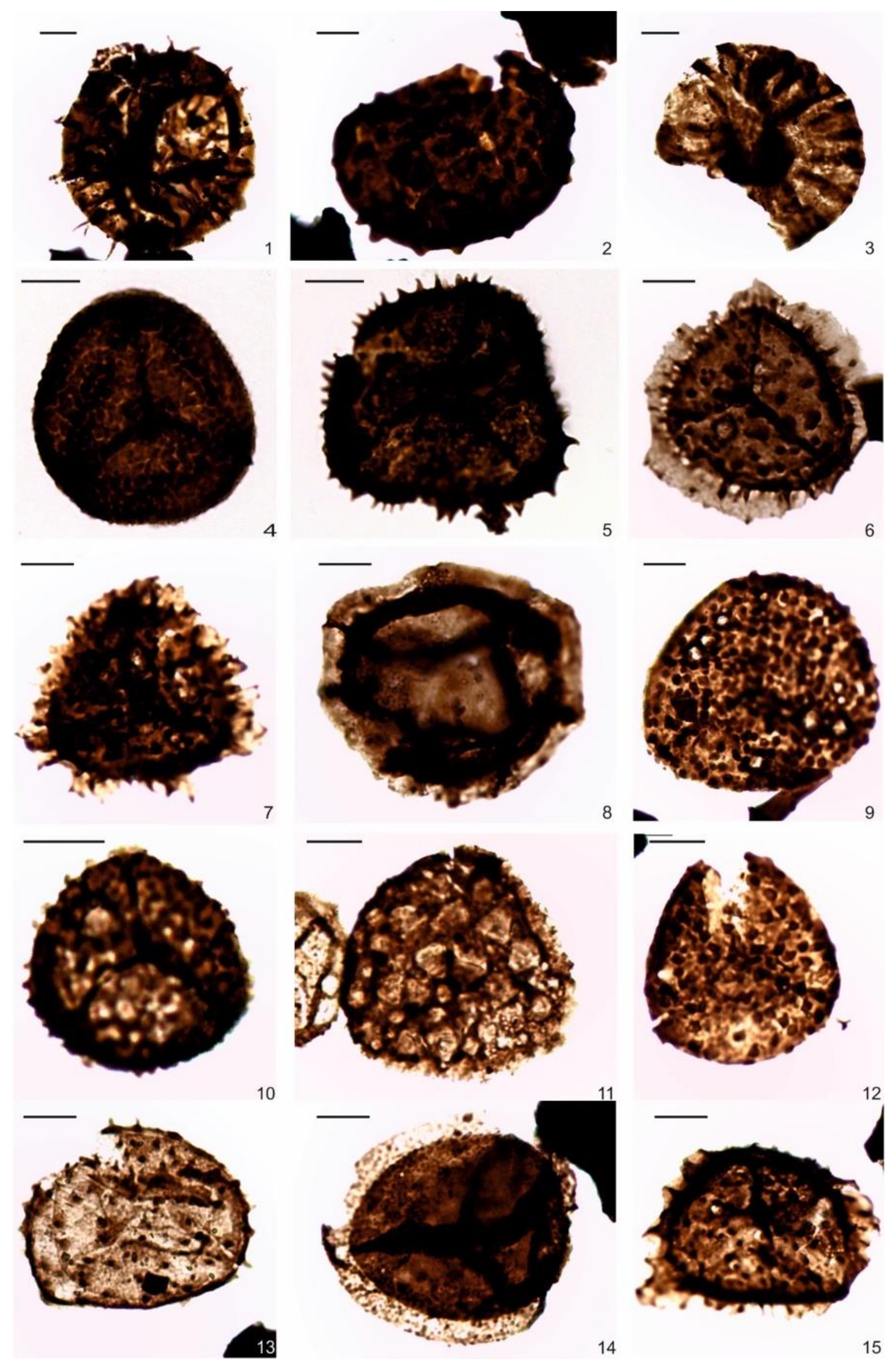 Geosciences 11 00084 g007