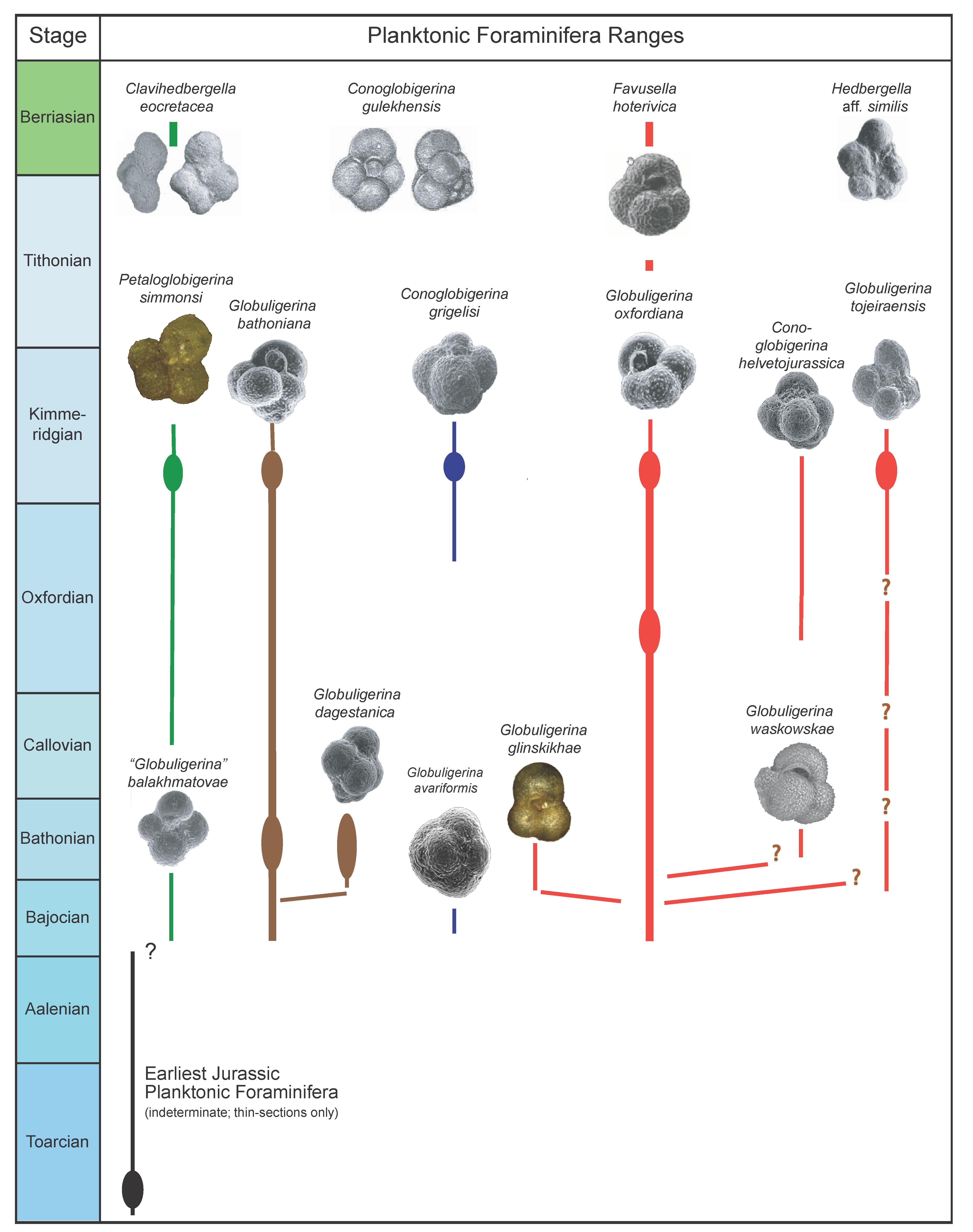 Geosciences 11 00085 g005