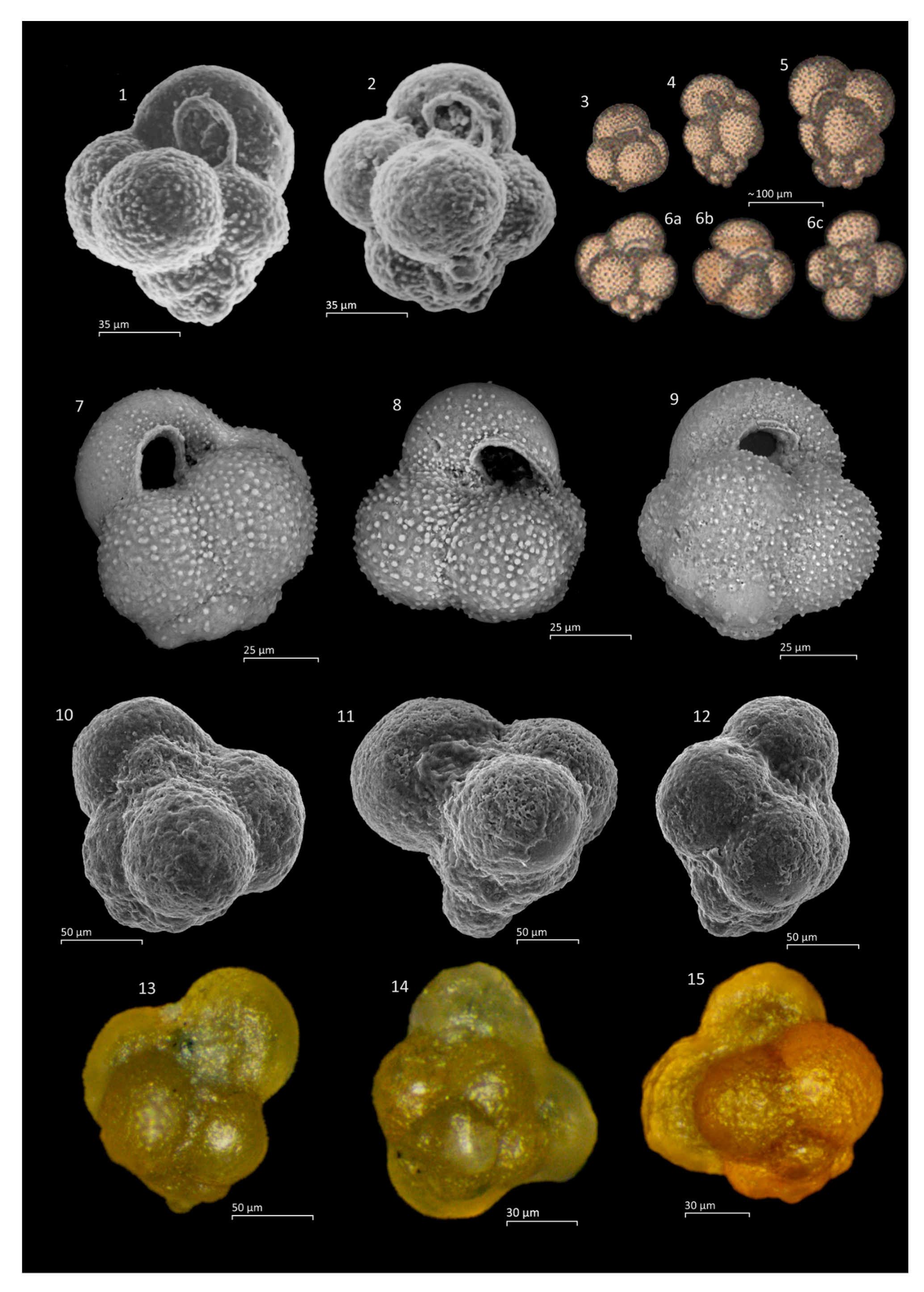 Geosciences 11 00085 g0a2