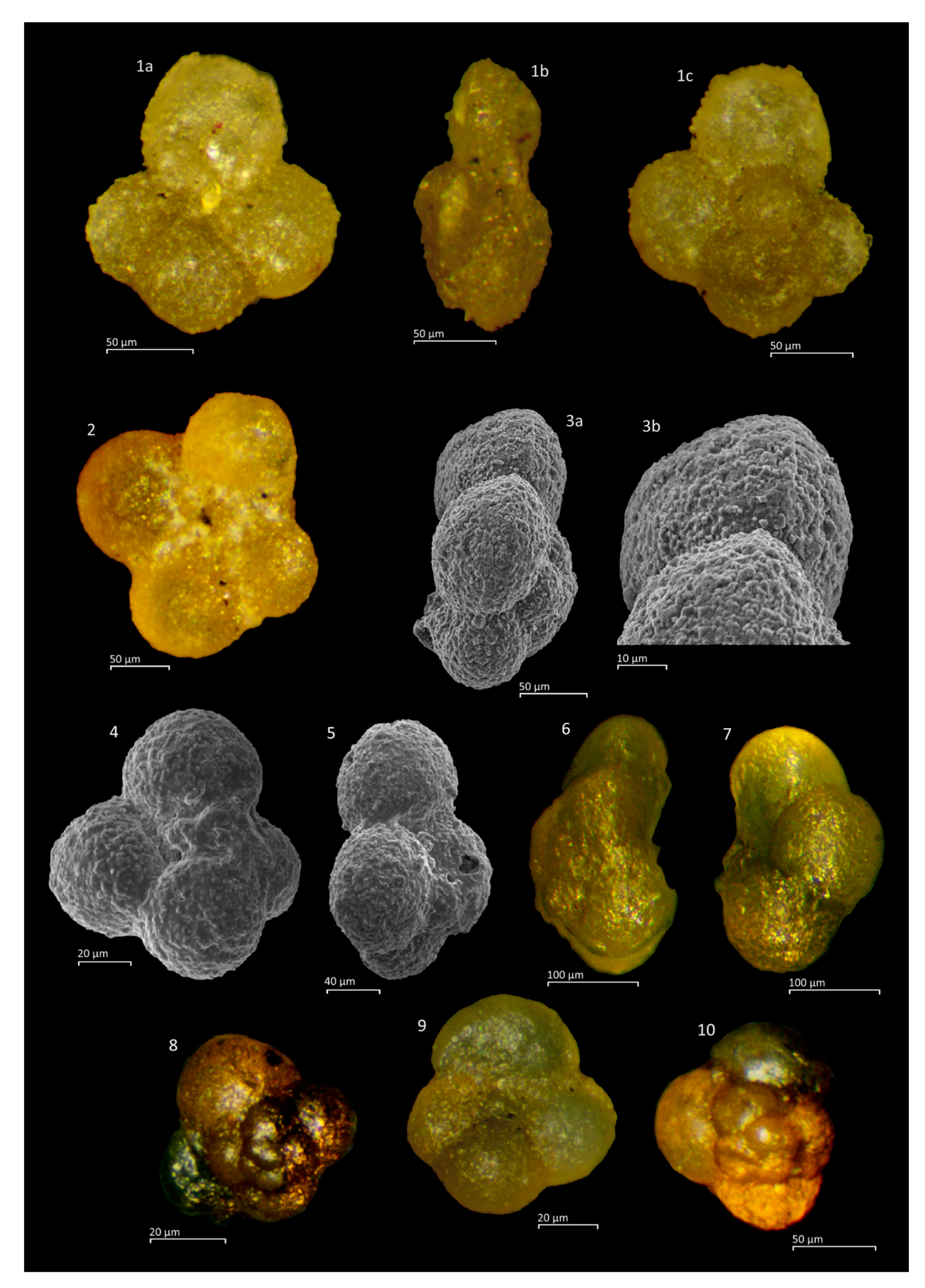 Geosciences 11 00085 g0a5