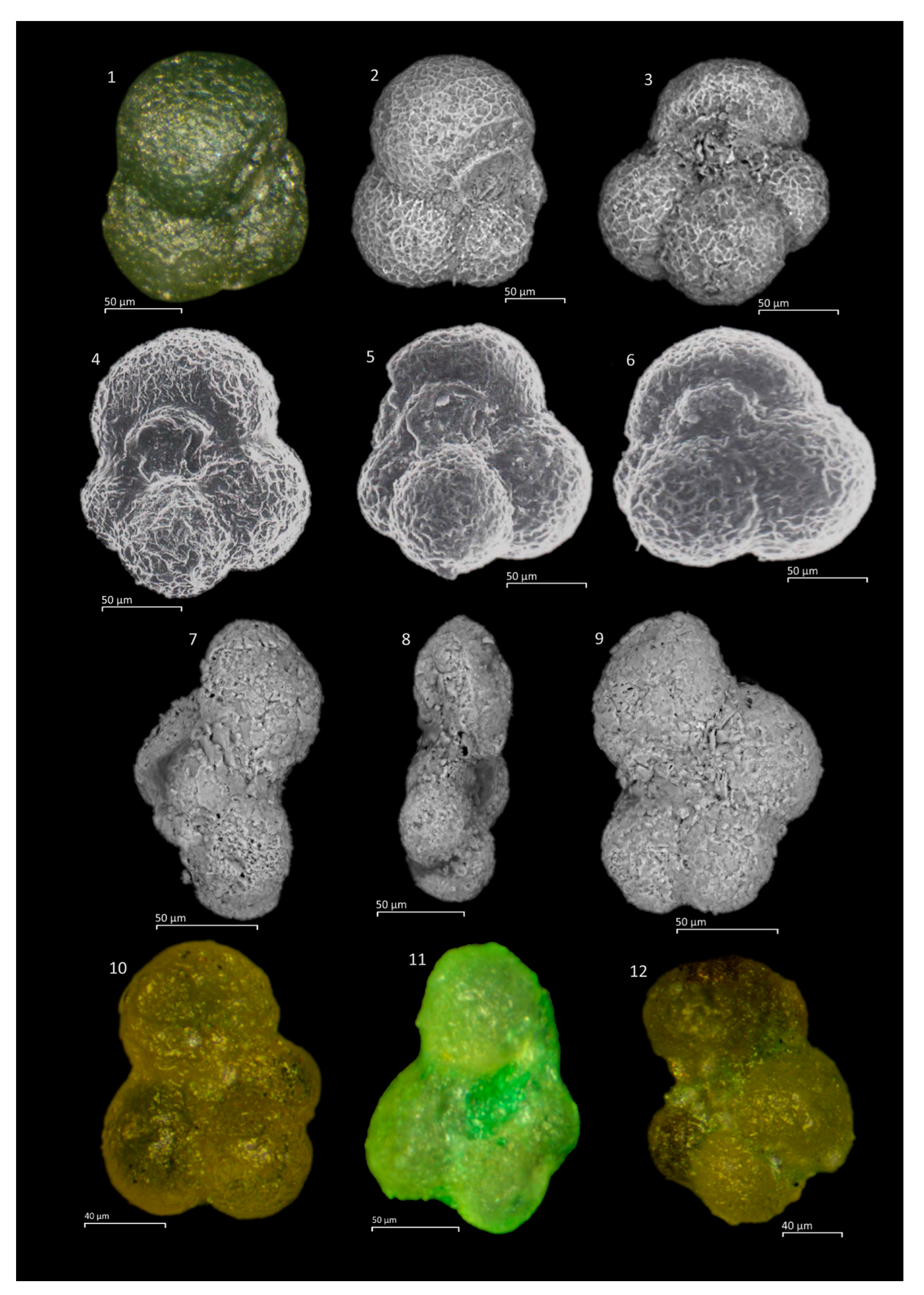 Geosciences 11 00085 g0a6