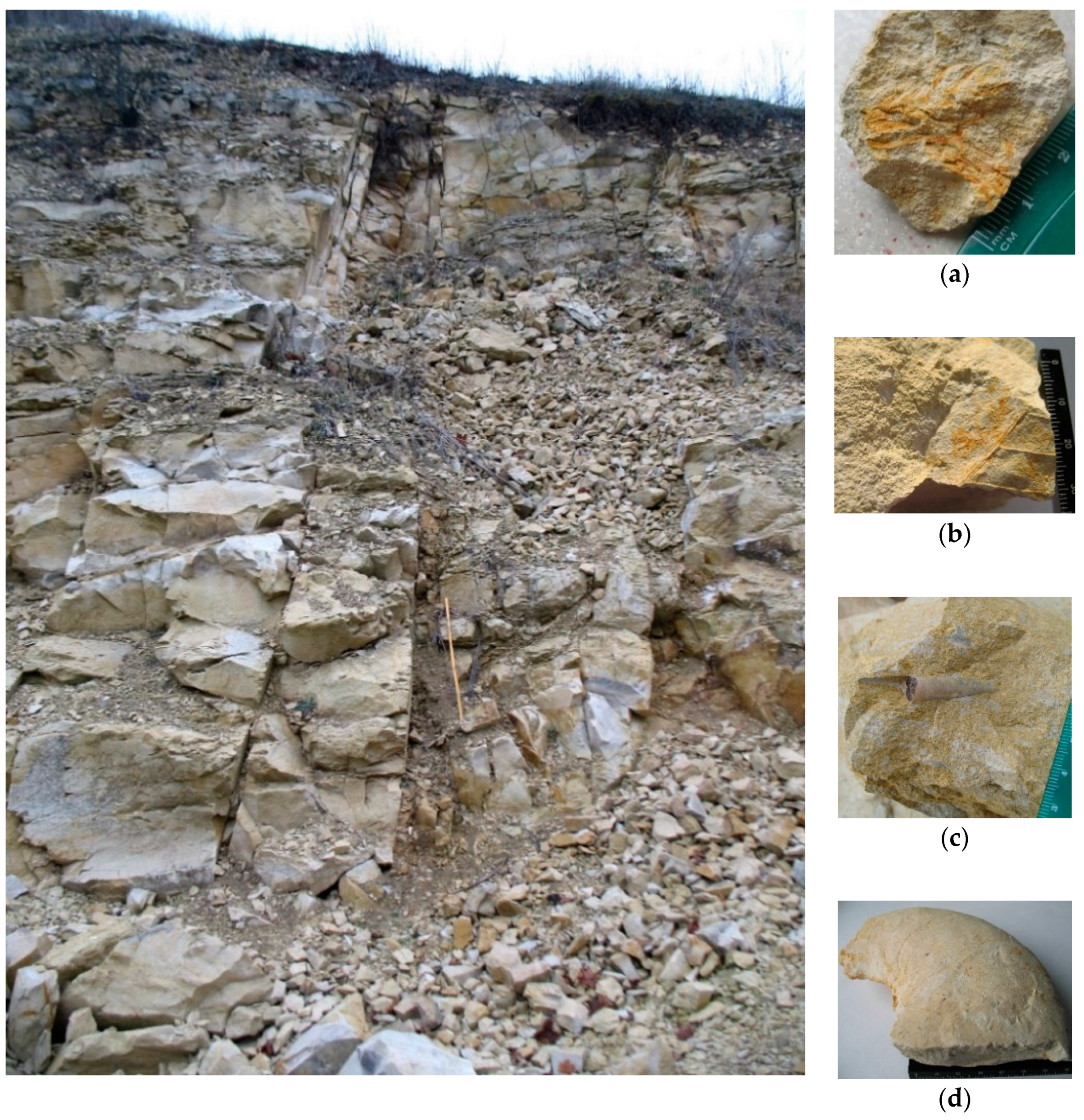 Geosciences 11 00120 g003 Geosciences 11 00120 g003