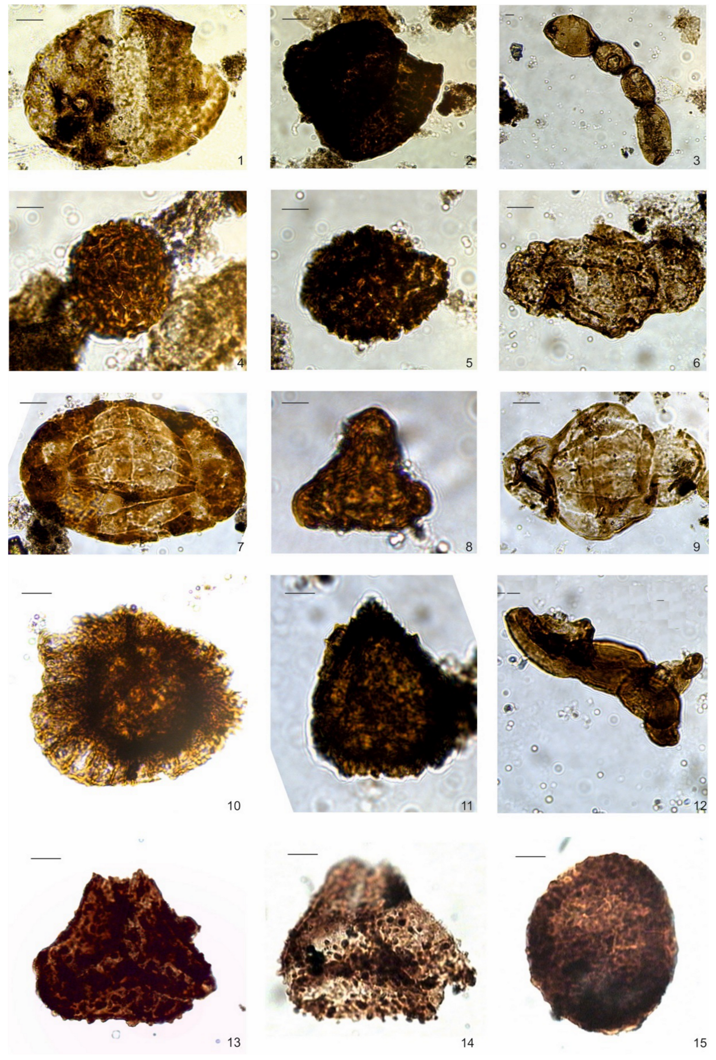 Geosciences 11 00124 g006