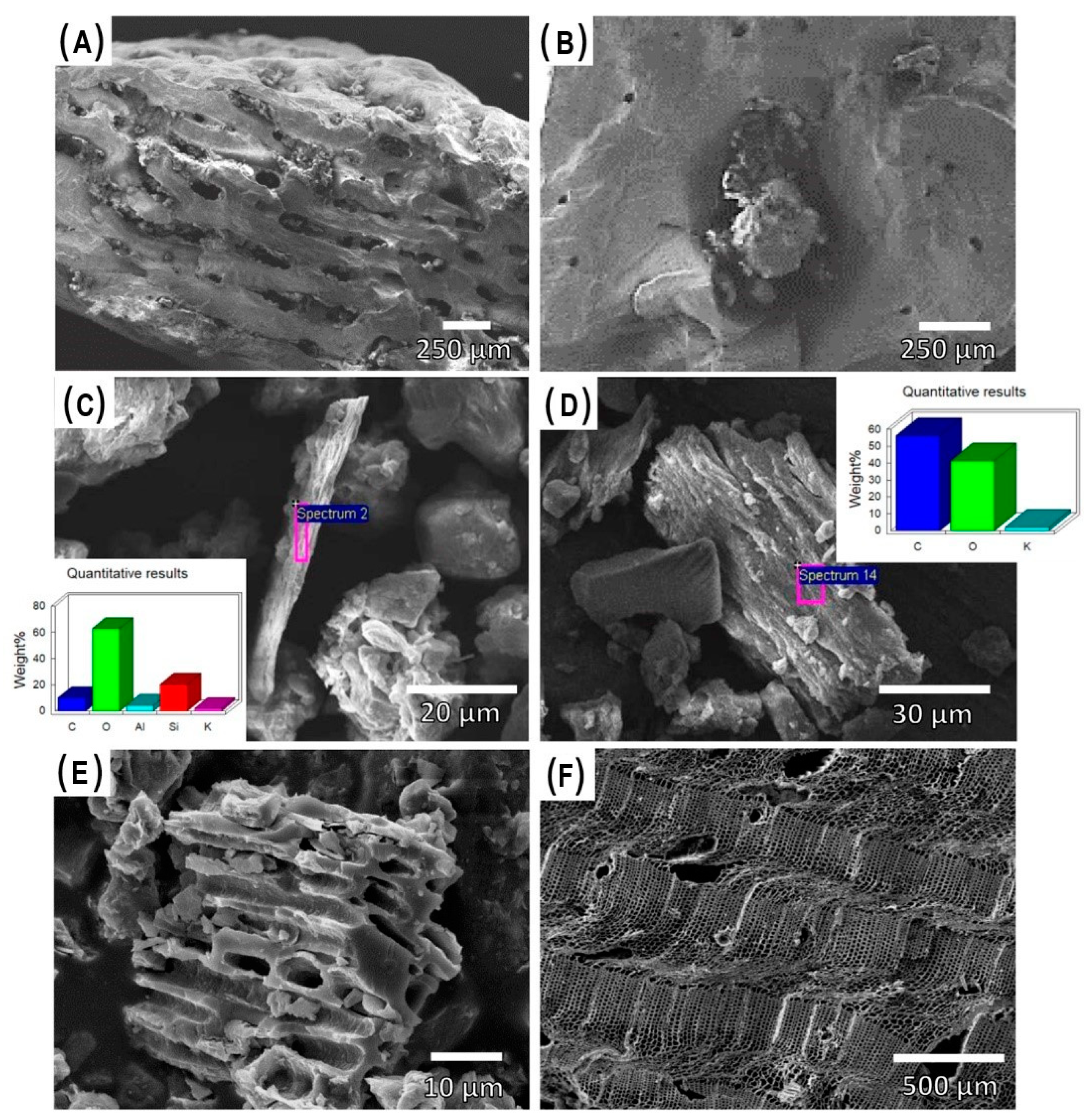 Geosciences 11 00165 g004