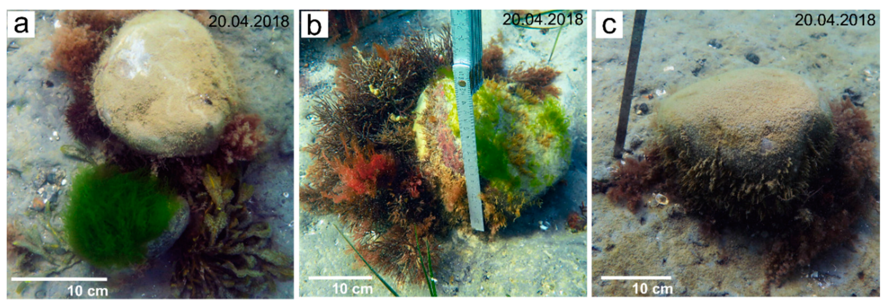 Geosciences 11 00171 g005