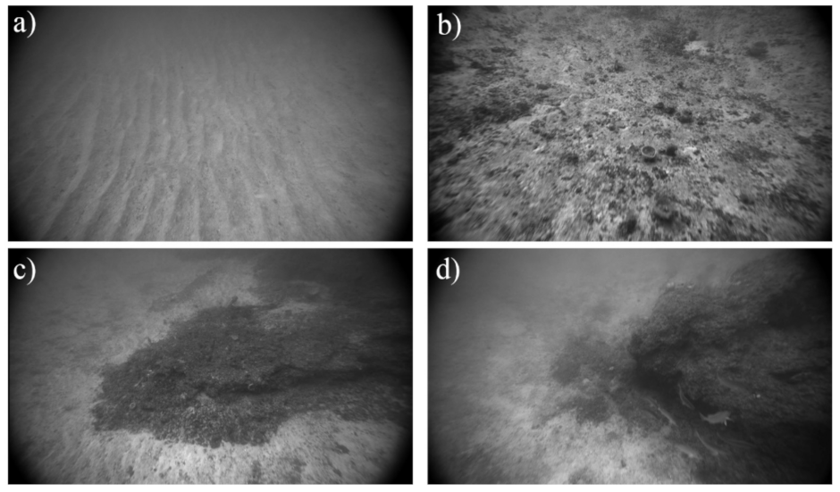 Geosciences 11 00176 g002 Geosciences 11 00176 g002