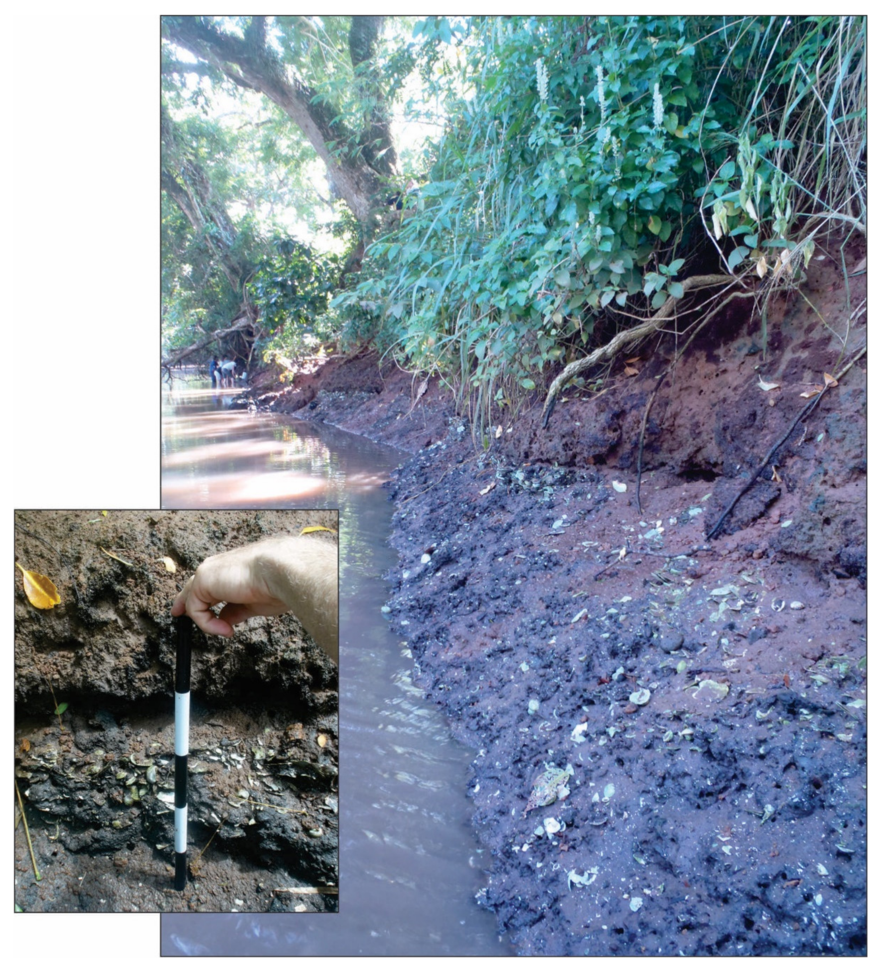 Geosciences 11 00182 g006