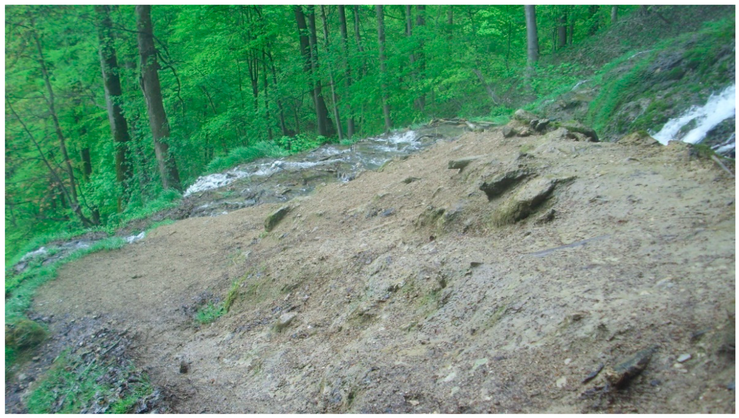 Geosciences 11 00198 g004