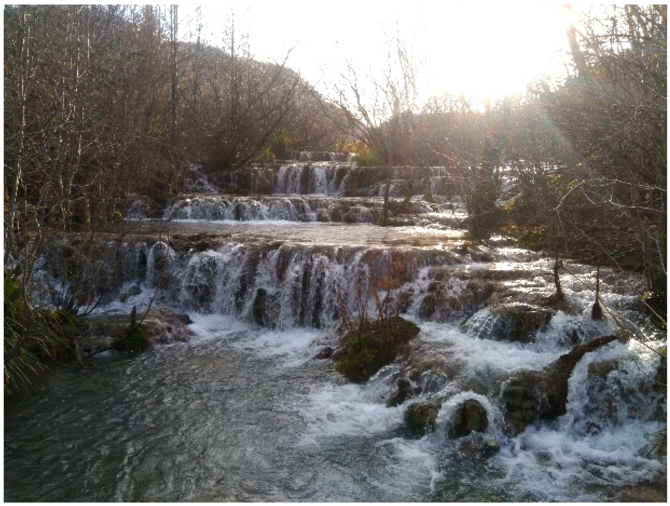 Geosciences 11 00198 g005