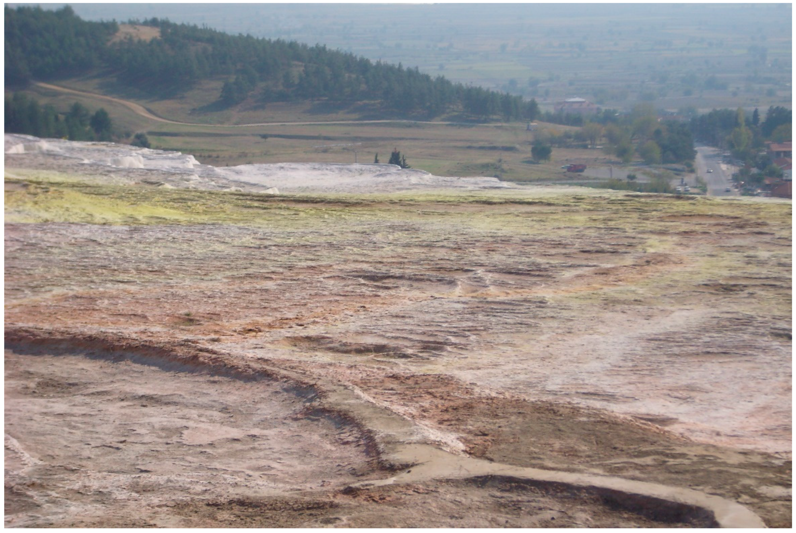 Geosciences 11 00198 g006