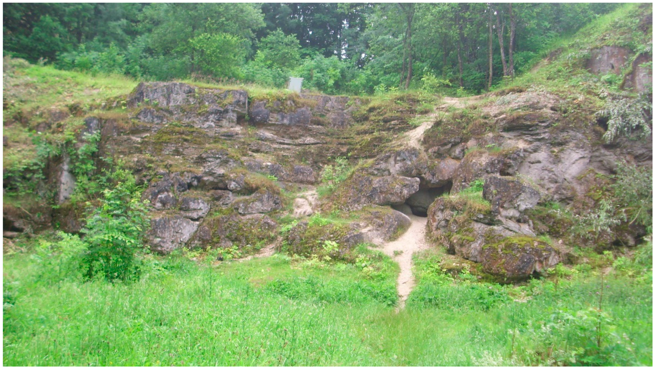 Geosciences 11 00198 g013