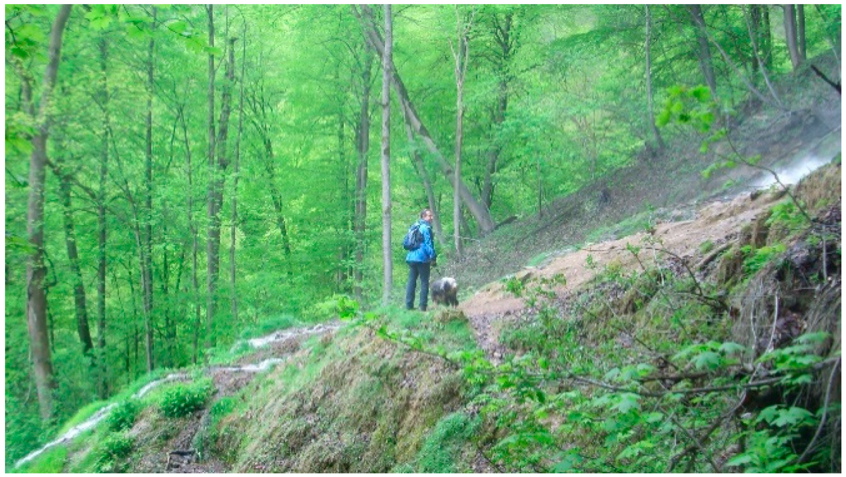 Geosciences 11 00198 g019