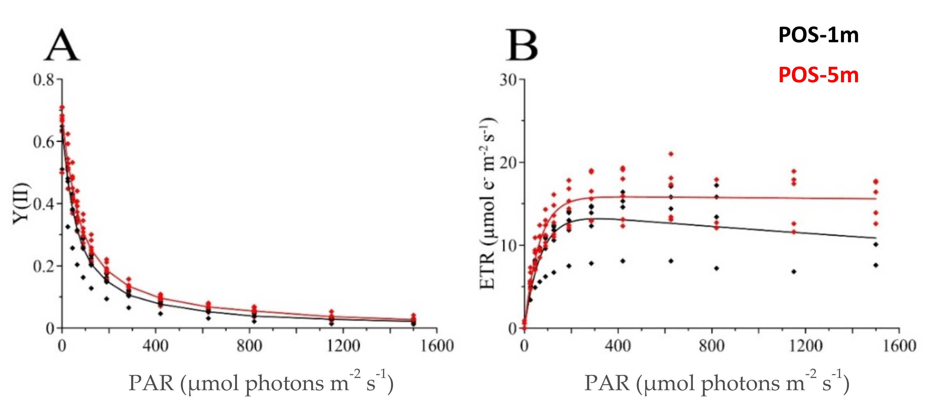 Geosciences 11 00202 g004 Geosciences 11 00202 g004