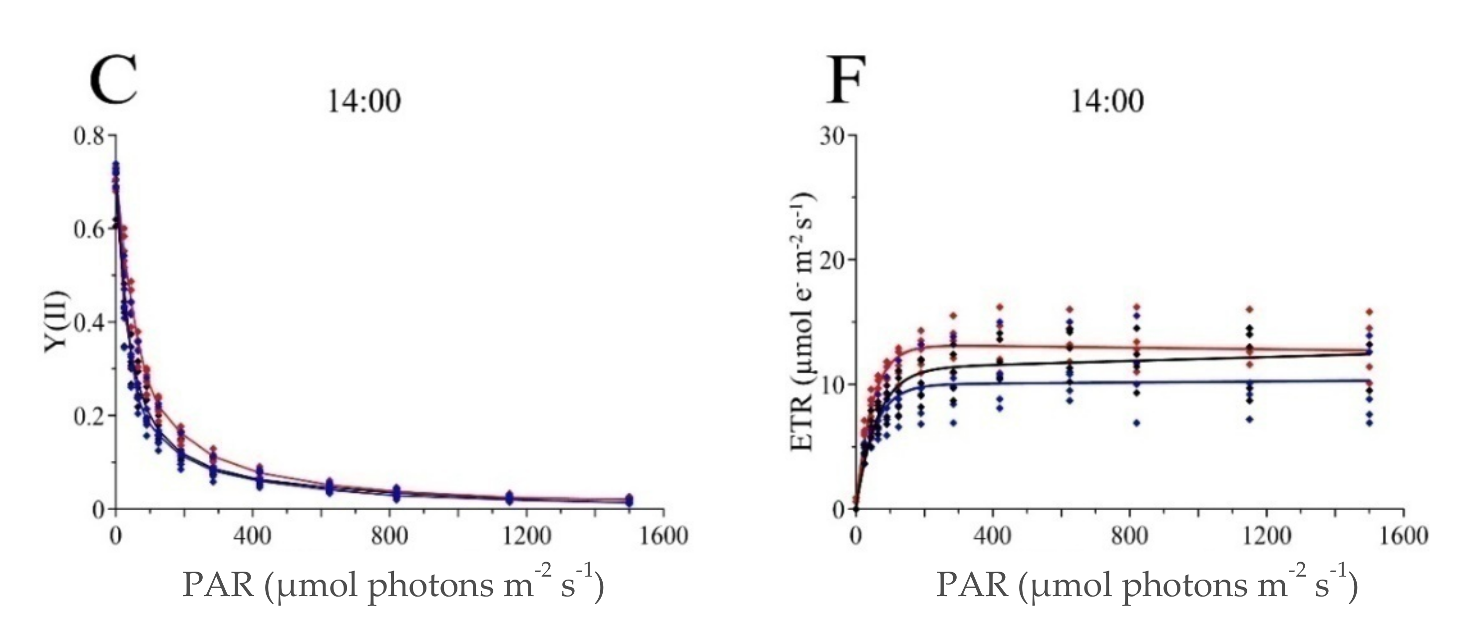 Geosciences 11 00202 g005b Geosciences 11 00202 g005b