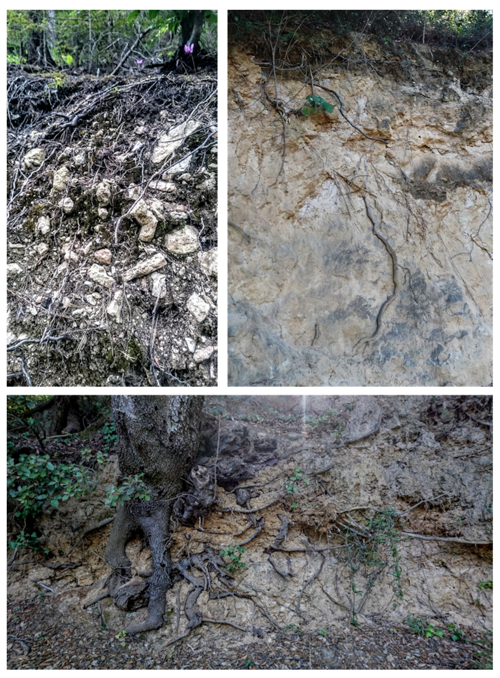 Geosciences 11 00212 g002