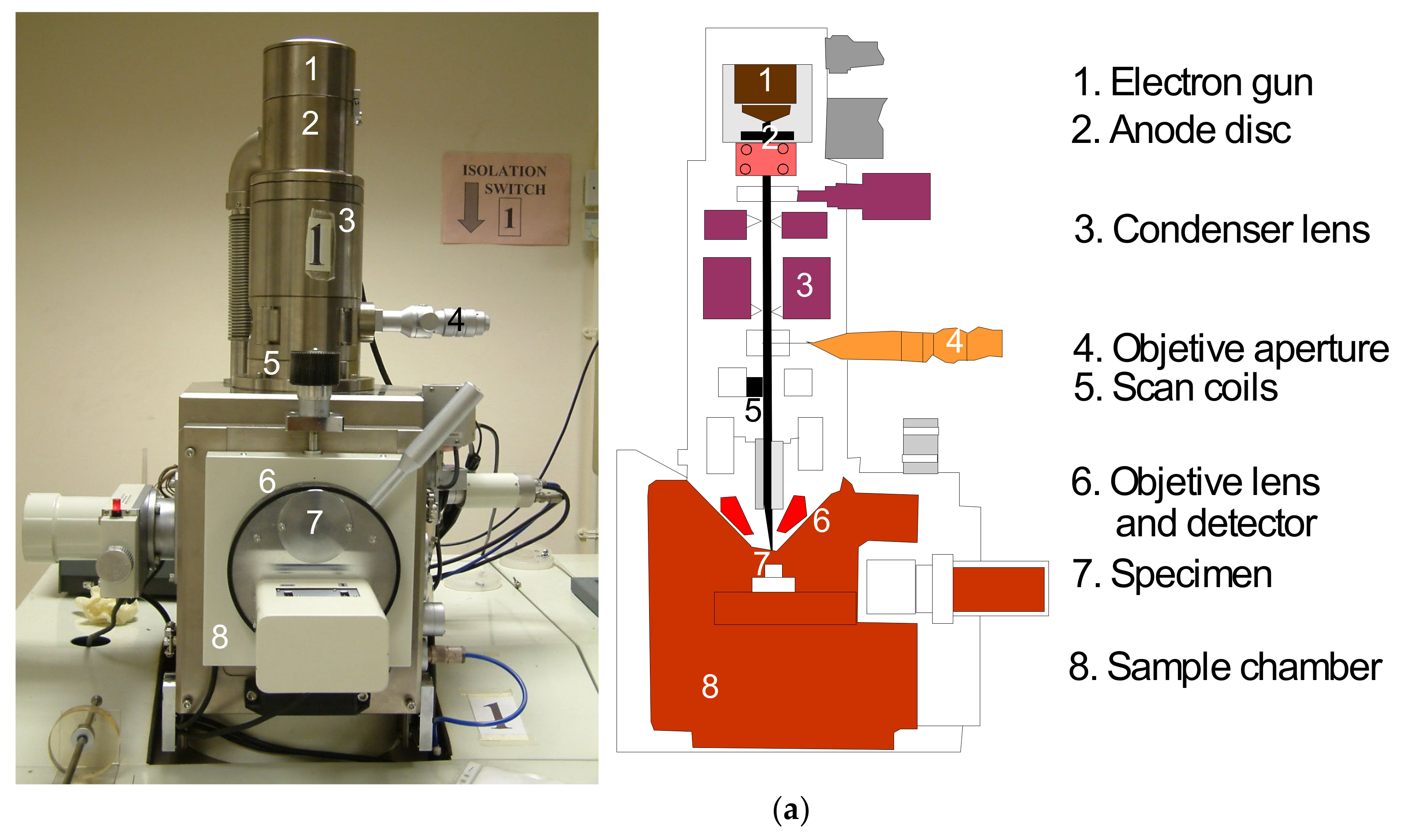 Geosciences 11 00243 g006a