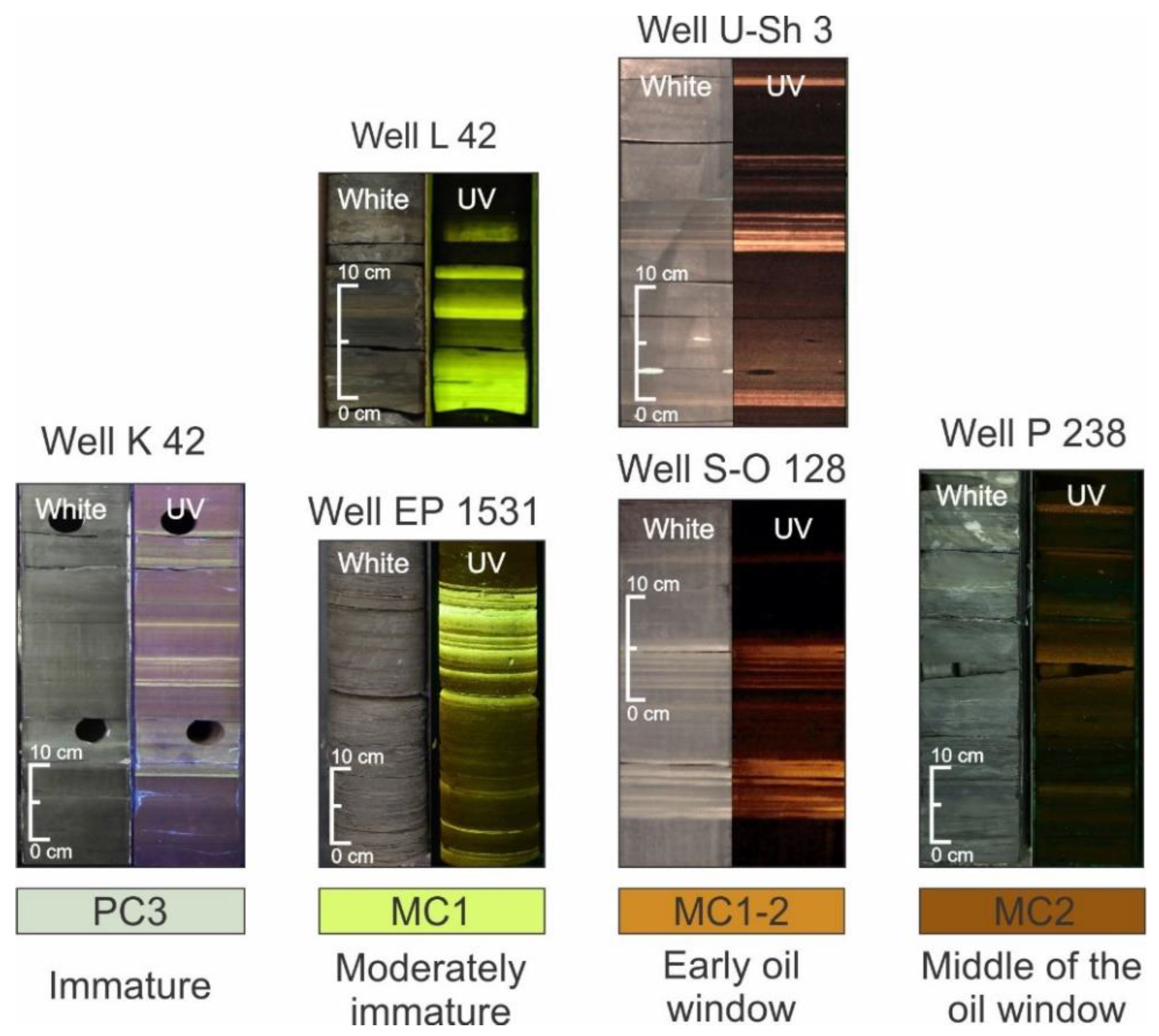 Geosciences 11 00252 g012 Geosciences 11 00252 g012