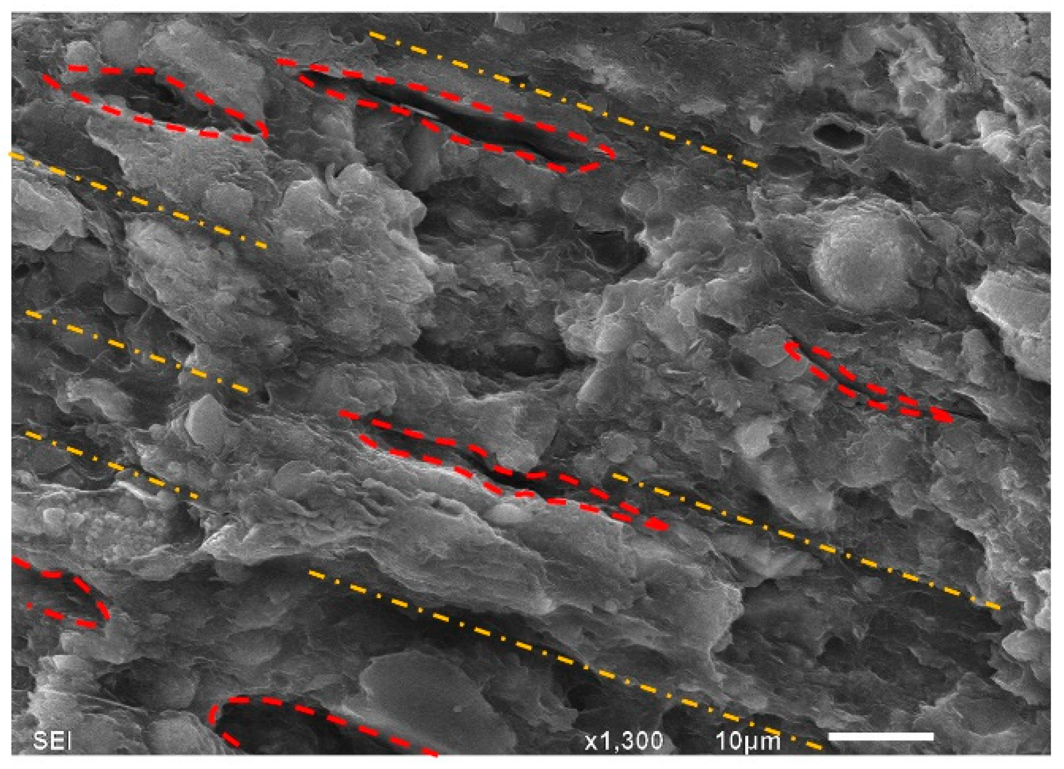 Geosciences 11 00269 g004 550