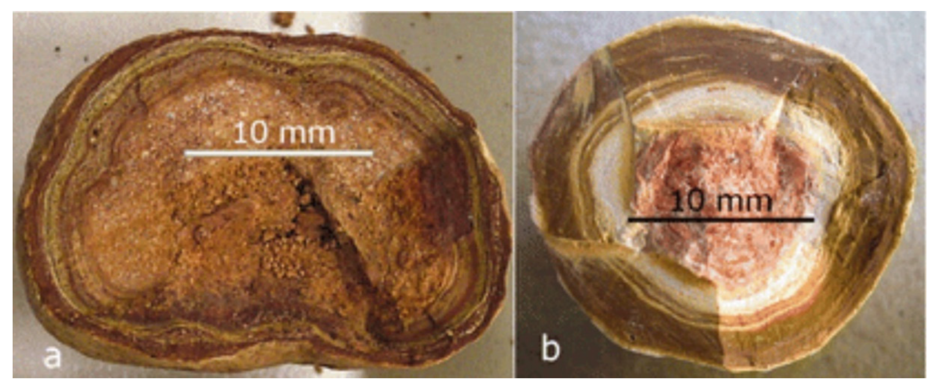 Geosciences 11 00284 g002 550