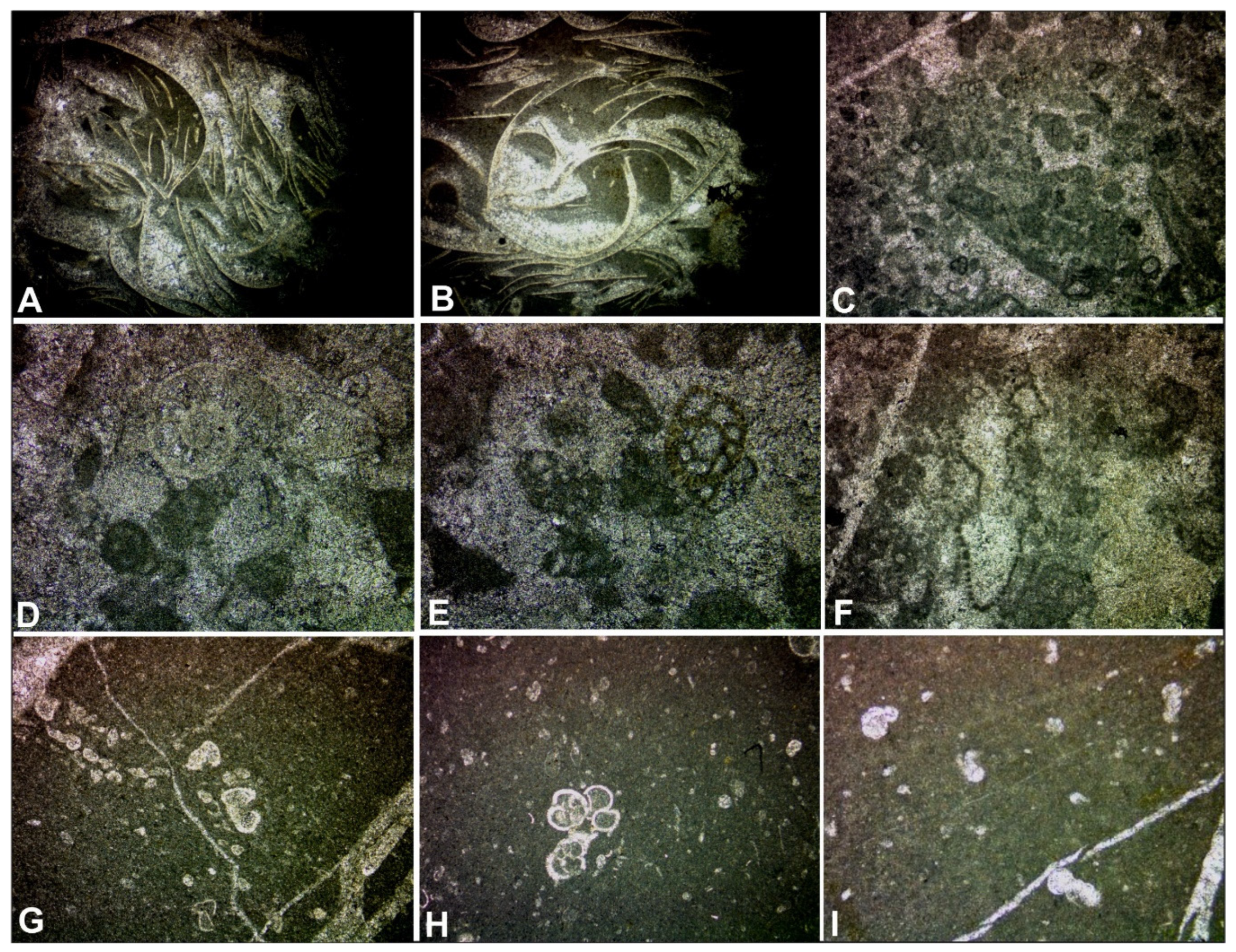 Geosciences 11 00288 g005 Geosciences 11 00288 g005