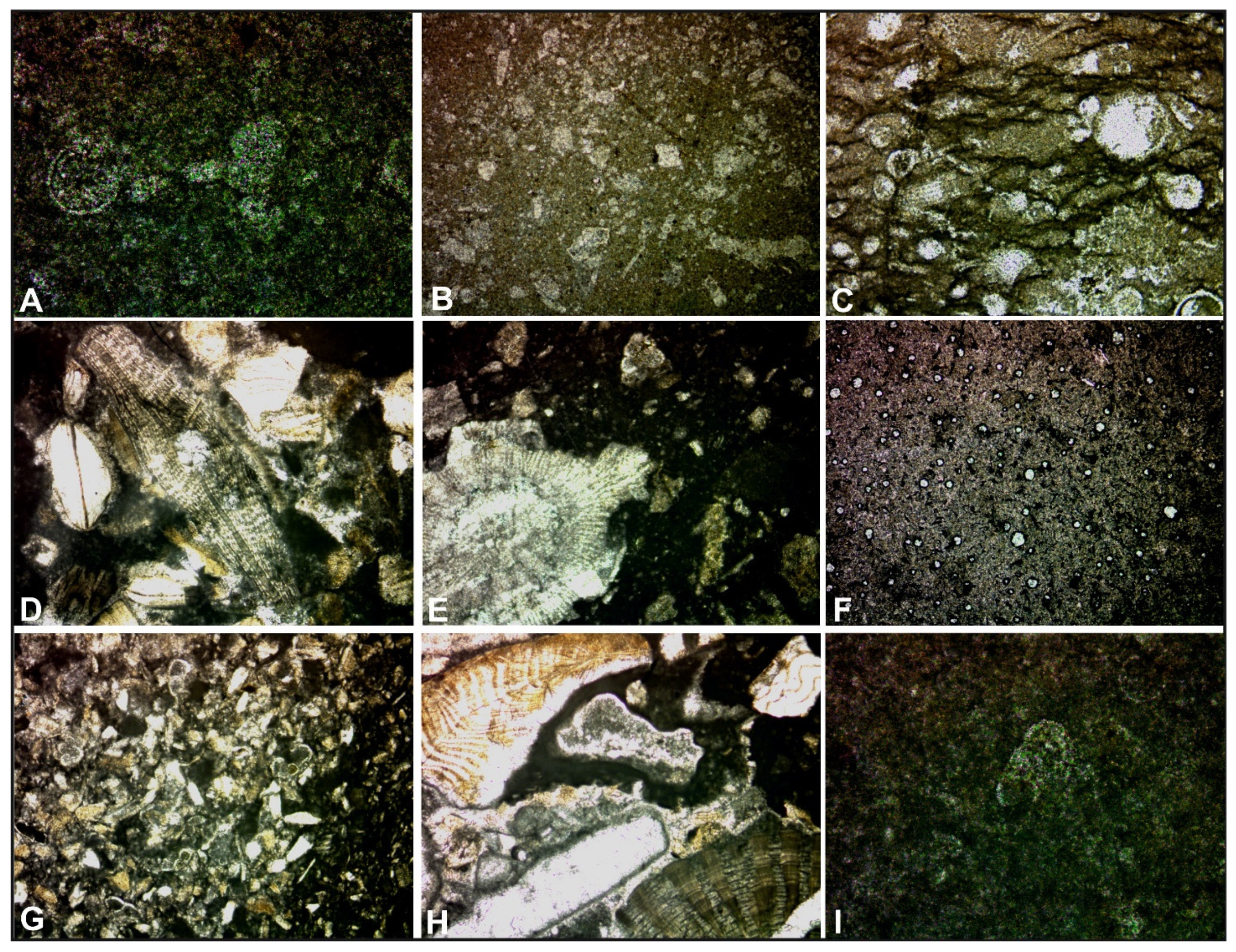 Geosciences 11 00288 g006 Geosciences 11 00288 g006