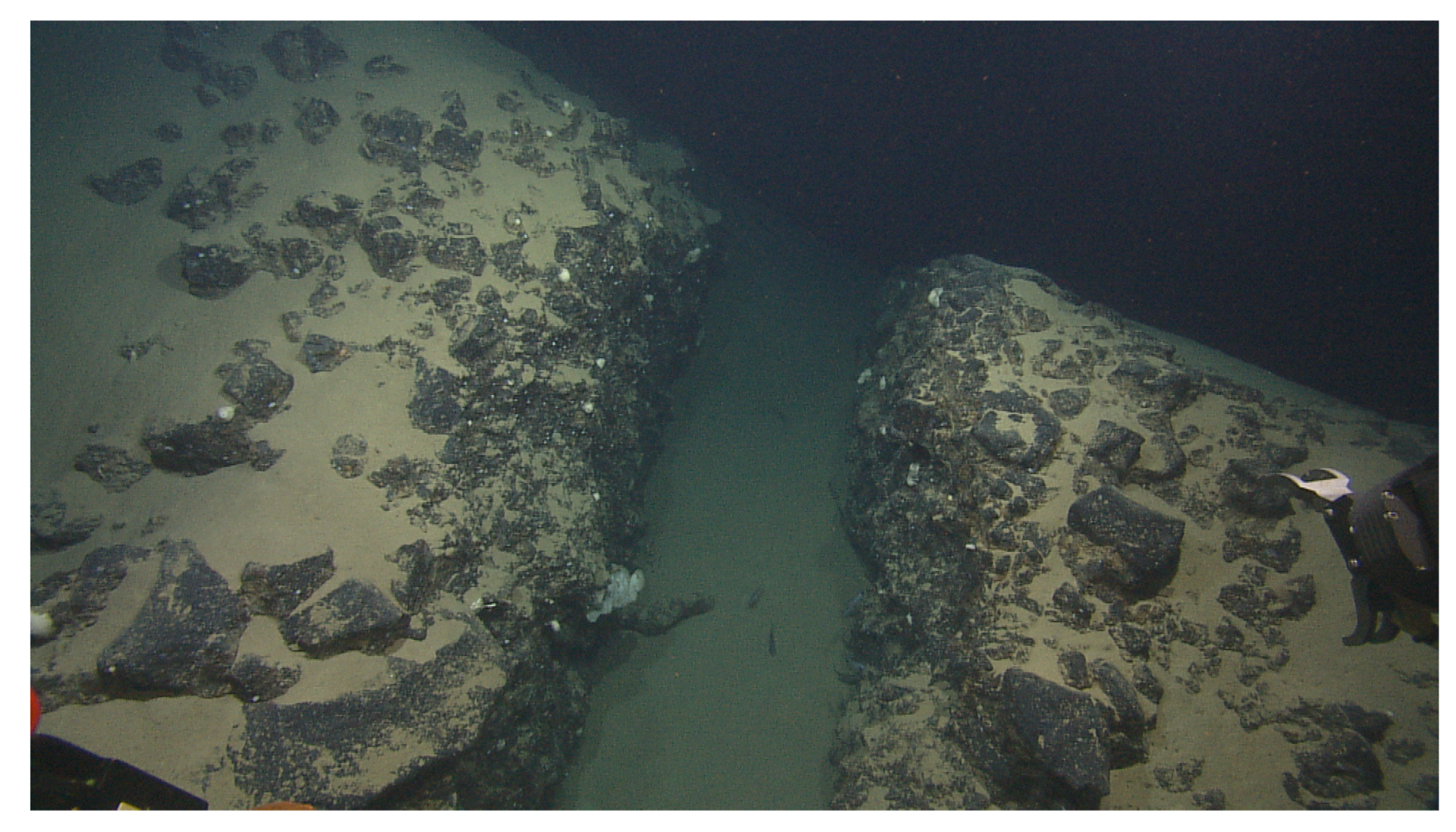 Geosciences 11 00290 g004