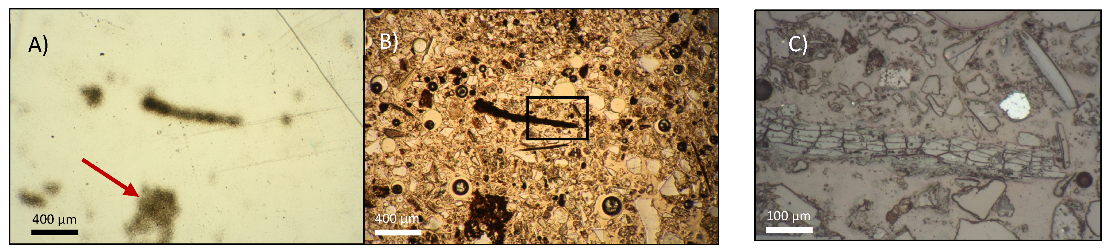 Geosciences 11 00294 g004 550