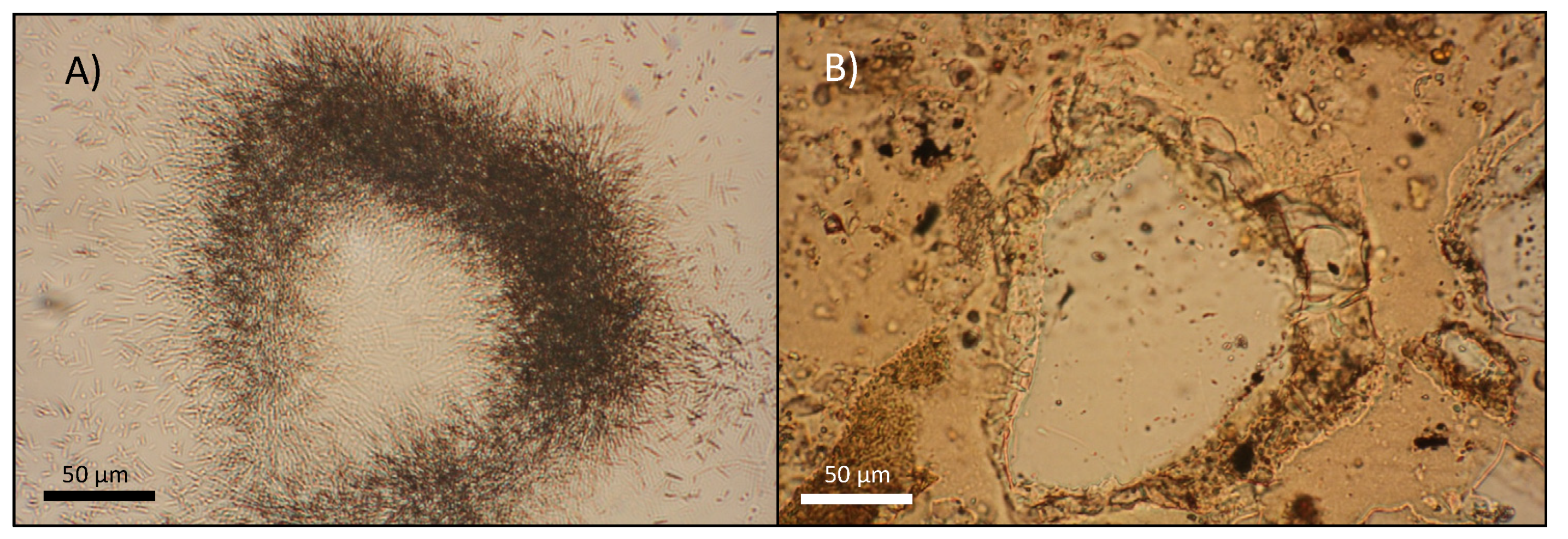 Geosciences 11 00294 g005 550