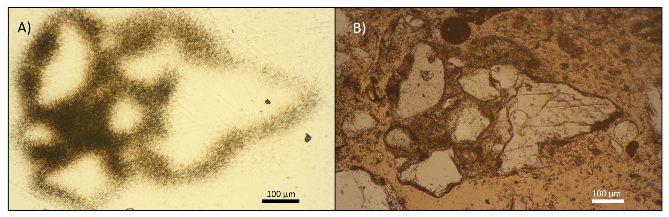 Geosciences 11 00294 g006 550
